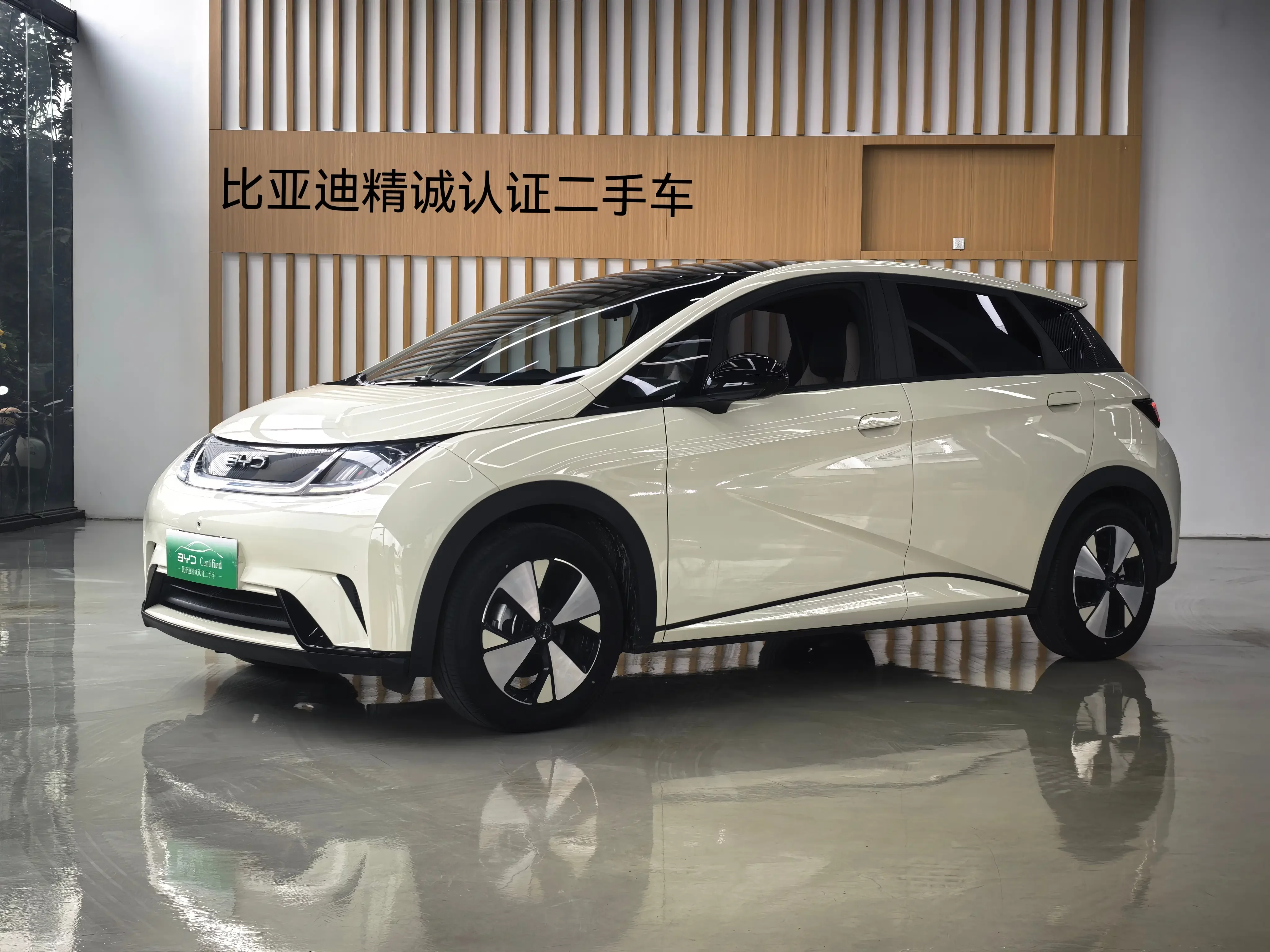 BYD Dolphin