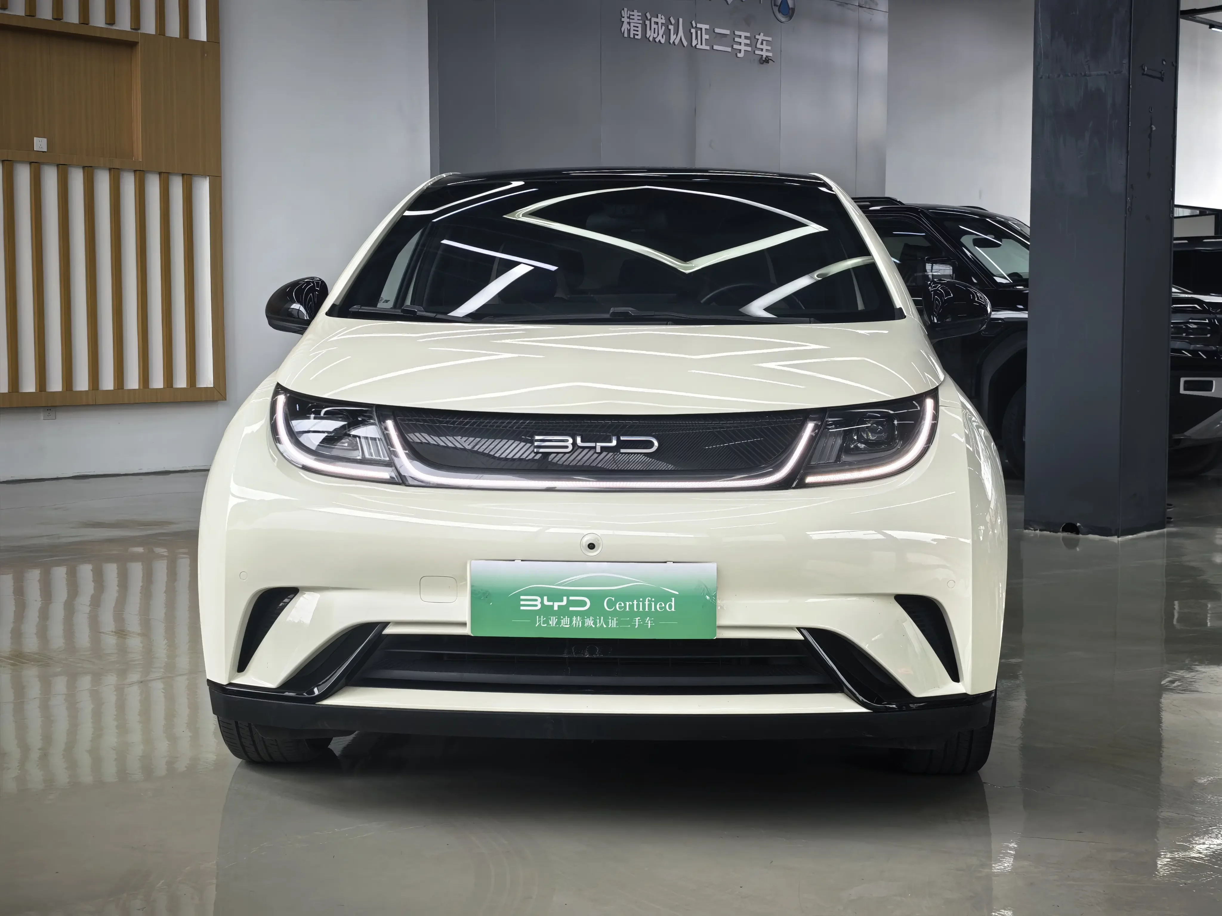 BYD Dolphin