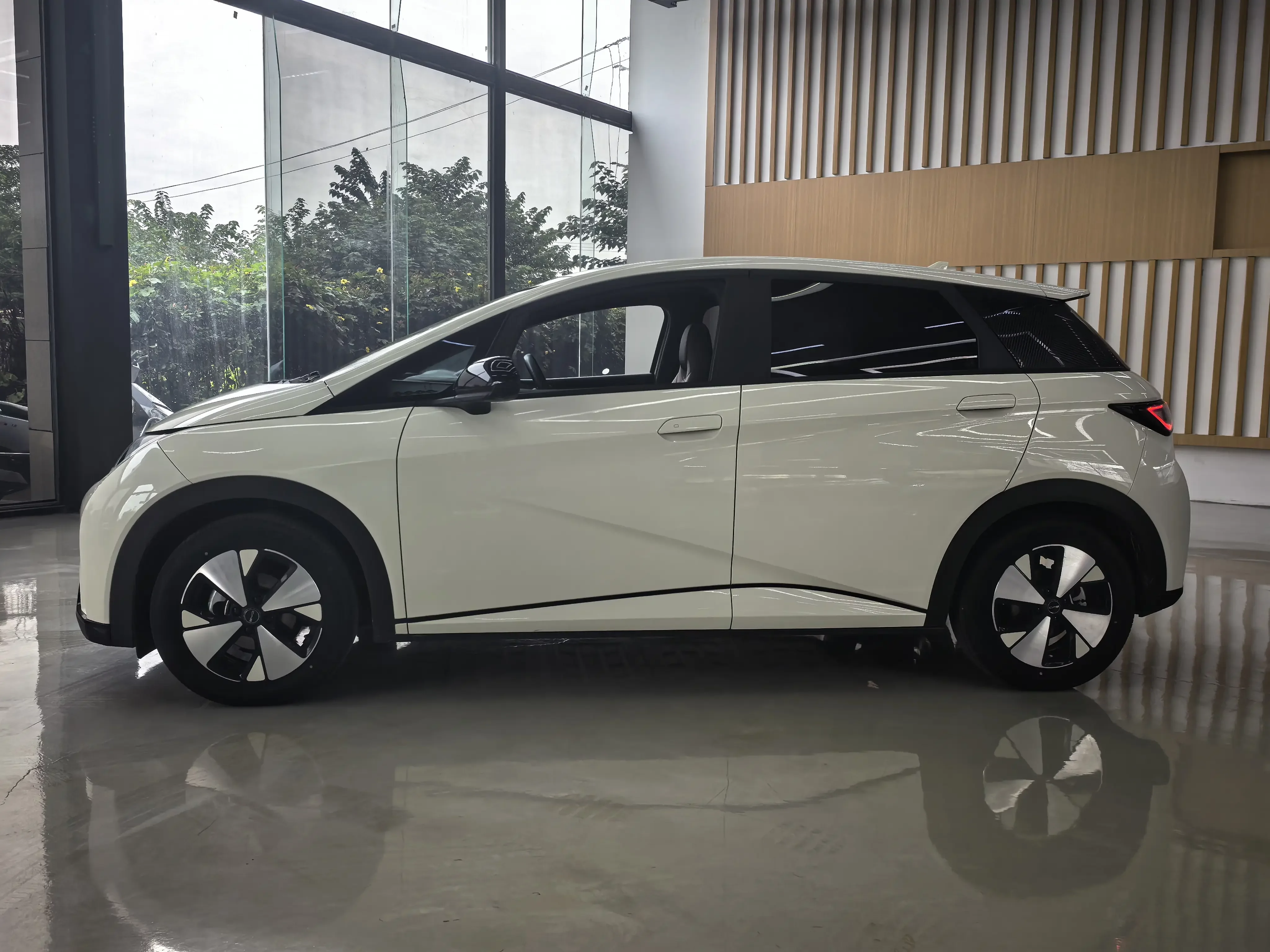 BYD Dolphin