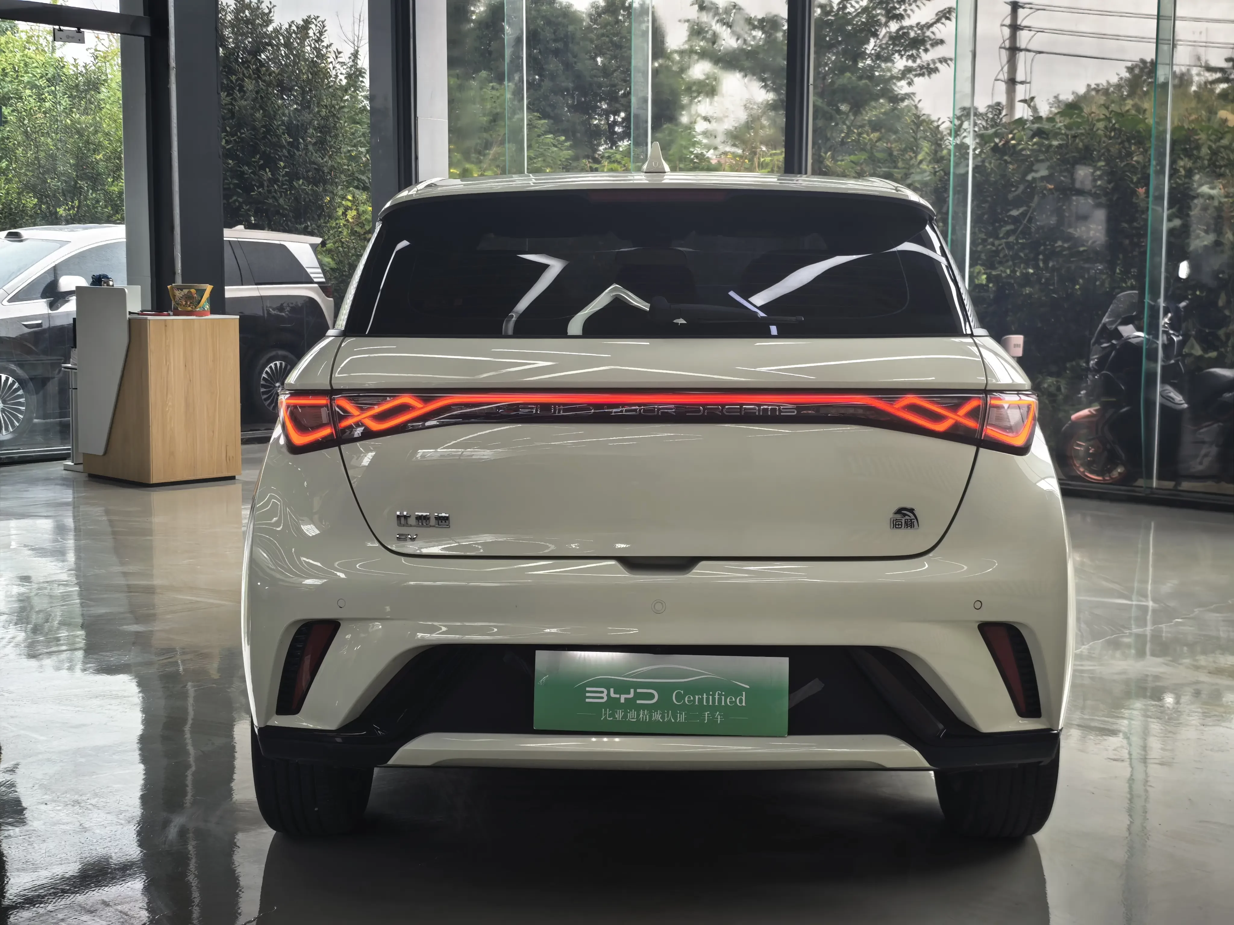 BYD Dolphin
