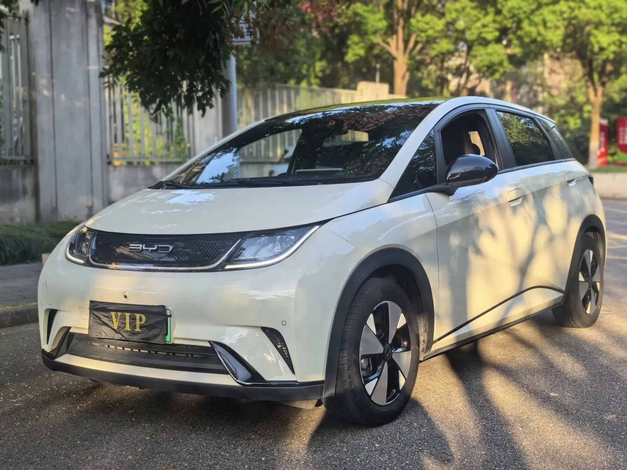 BYD Dolphin