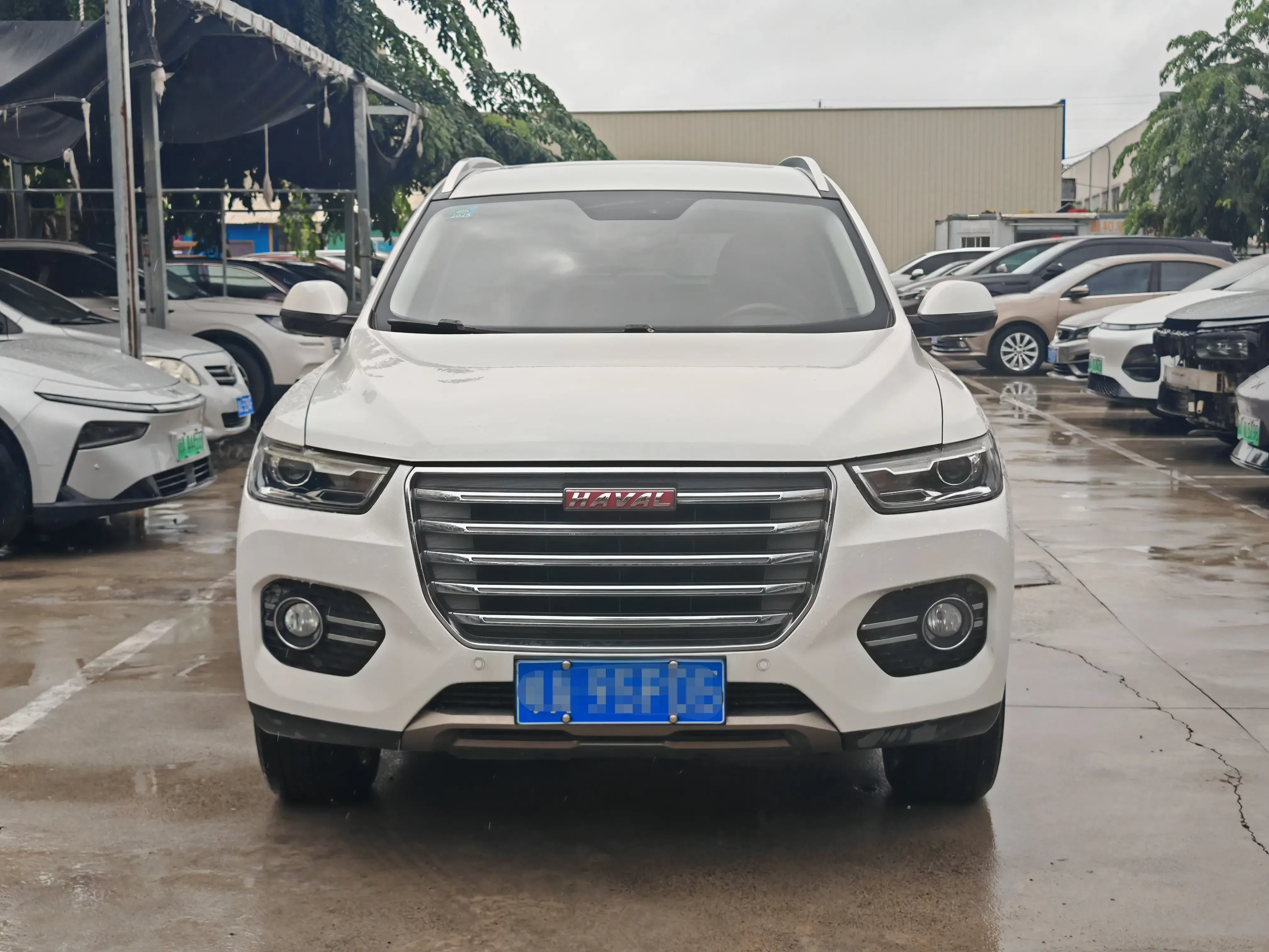 Haval H6