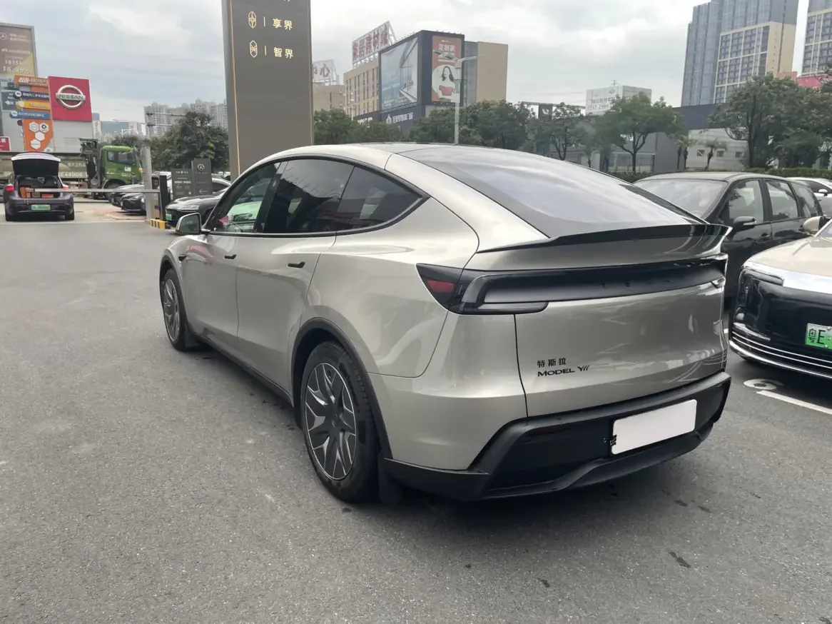 Tesla Model Y L