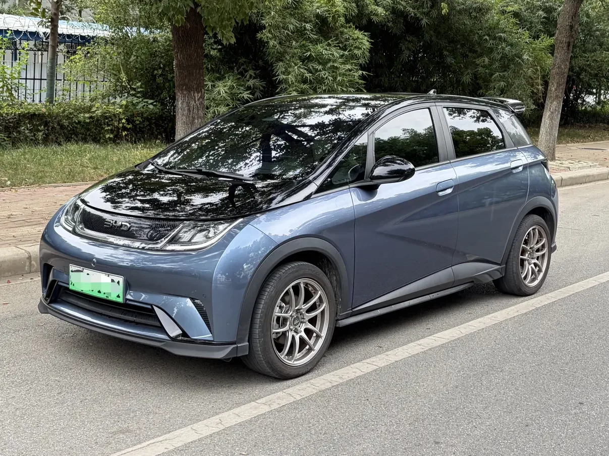 BYD Dolphin