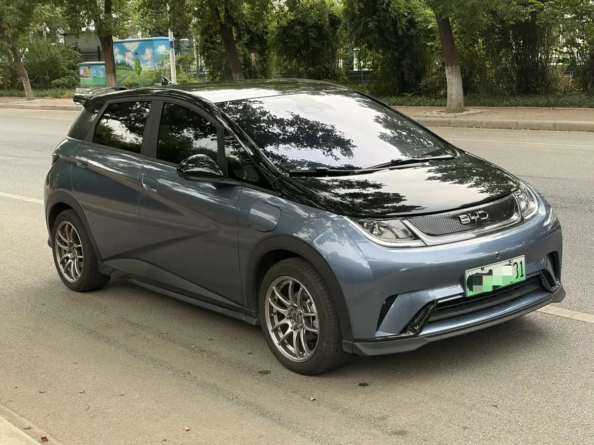 BYD Dolphin