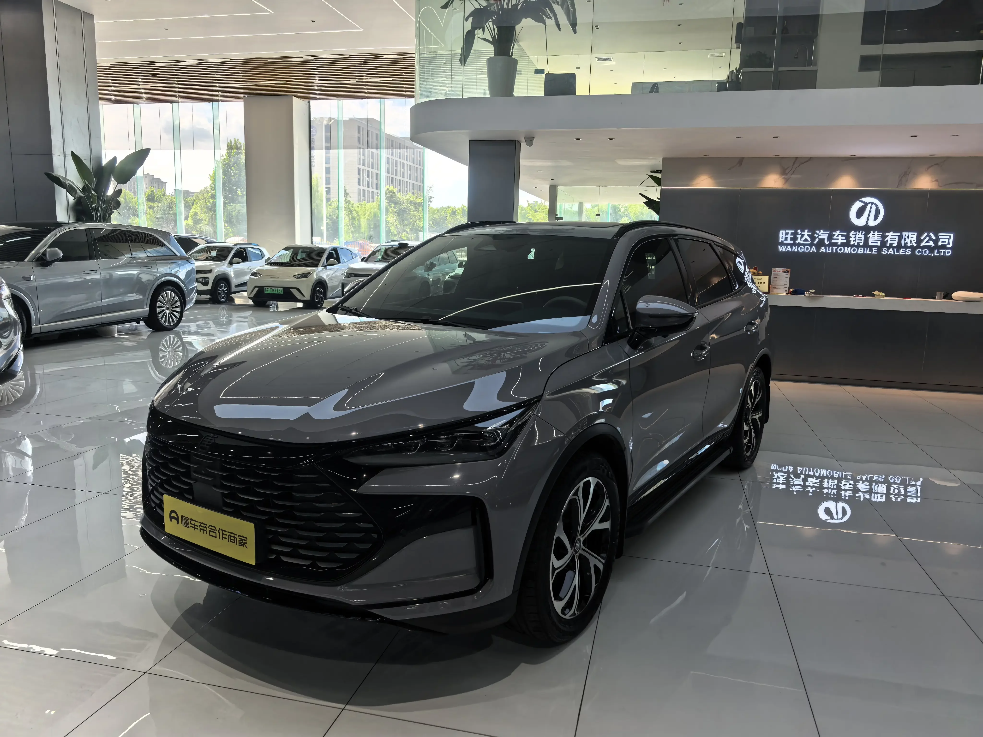 BYD Tang DM