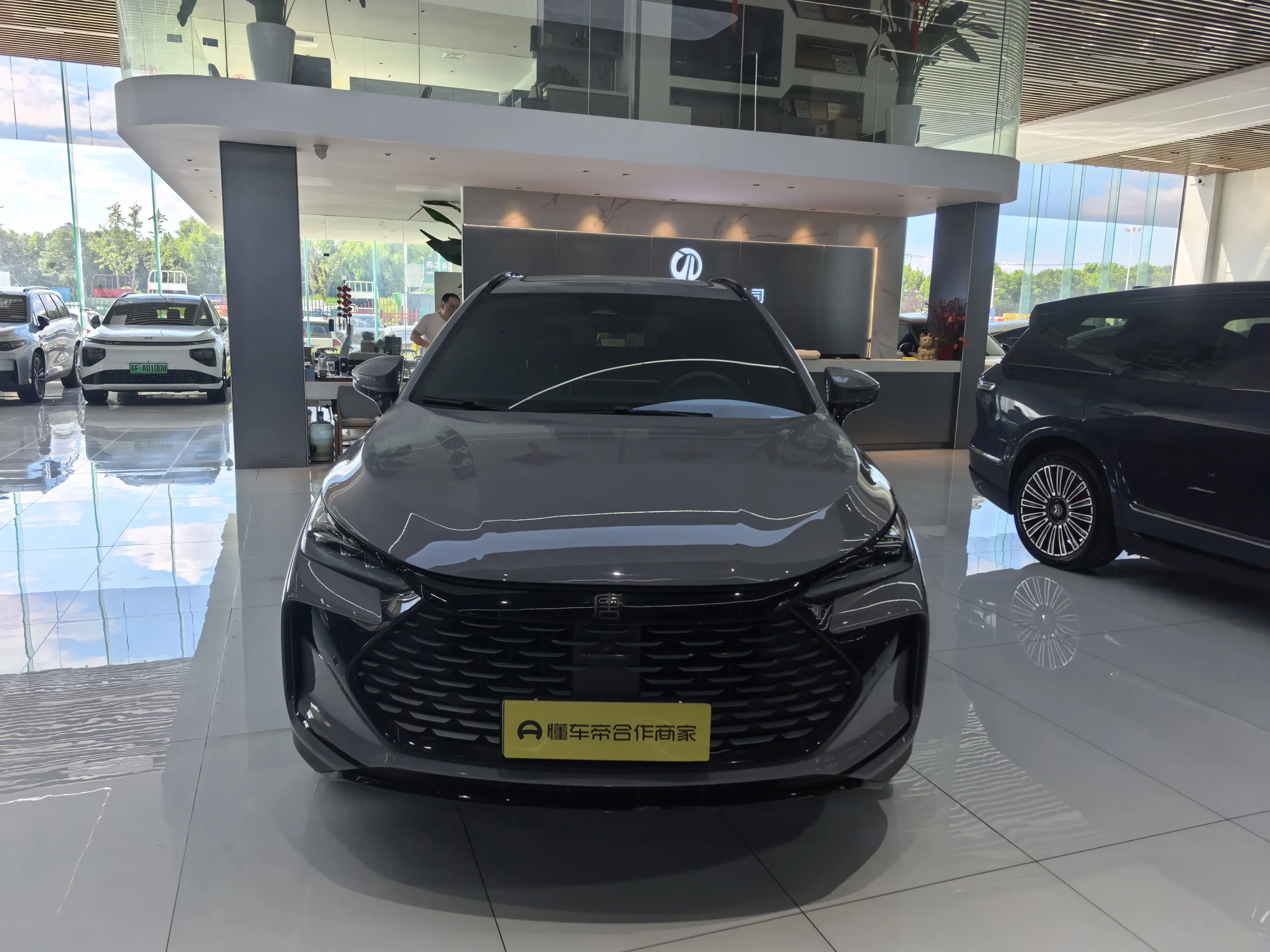 BYD Tang DM