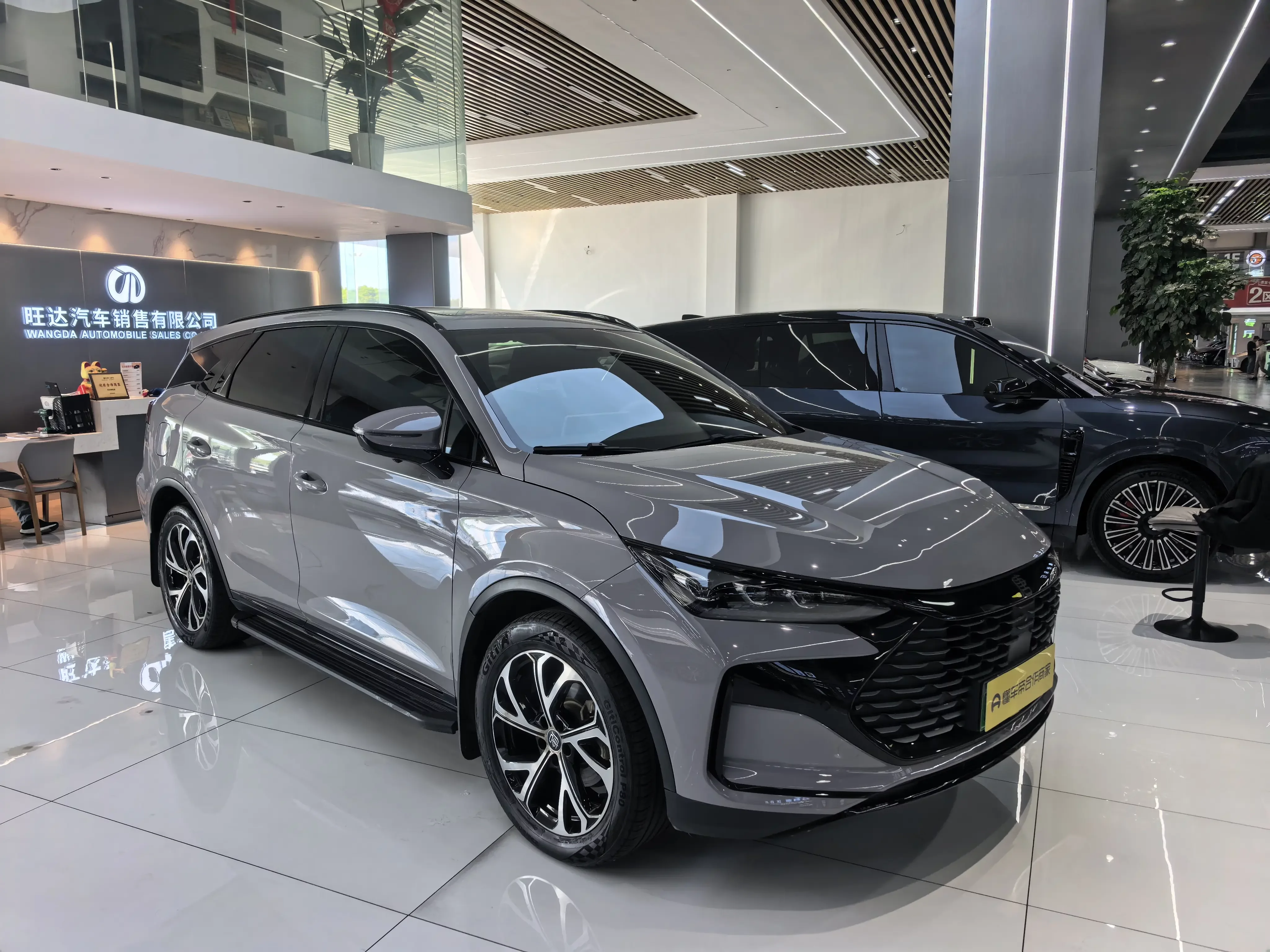 BYD Tang DM