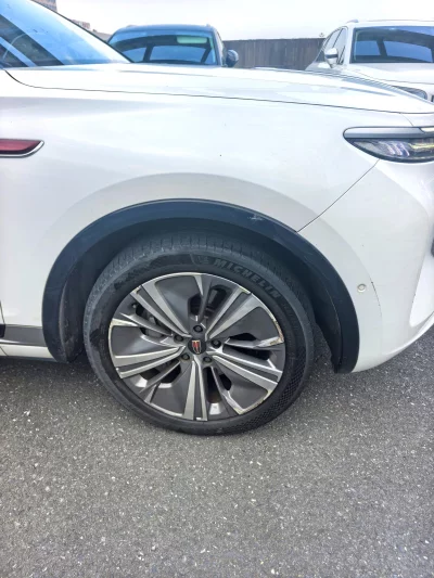 Hongqi E-HS9