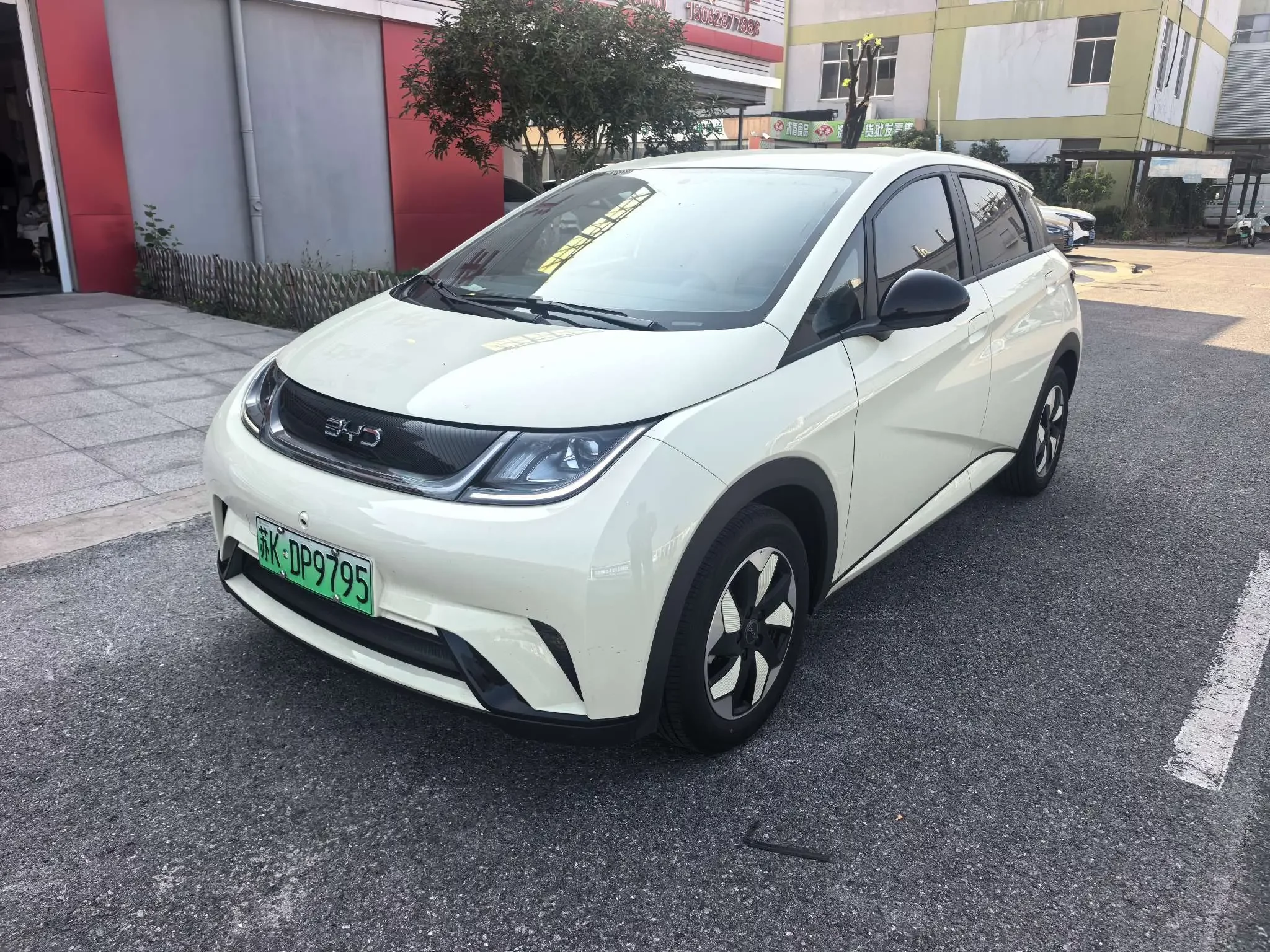 BYD Dolphin