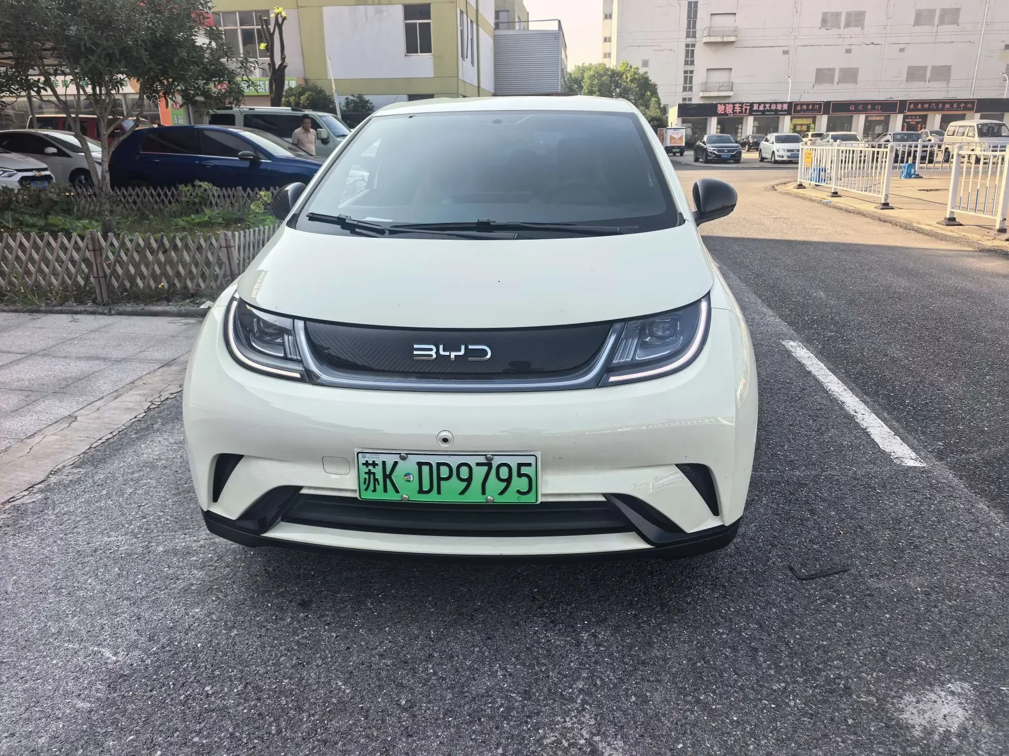 BYD Dolphin