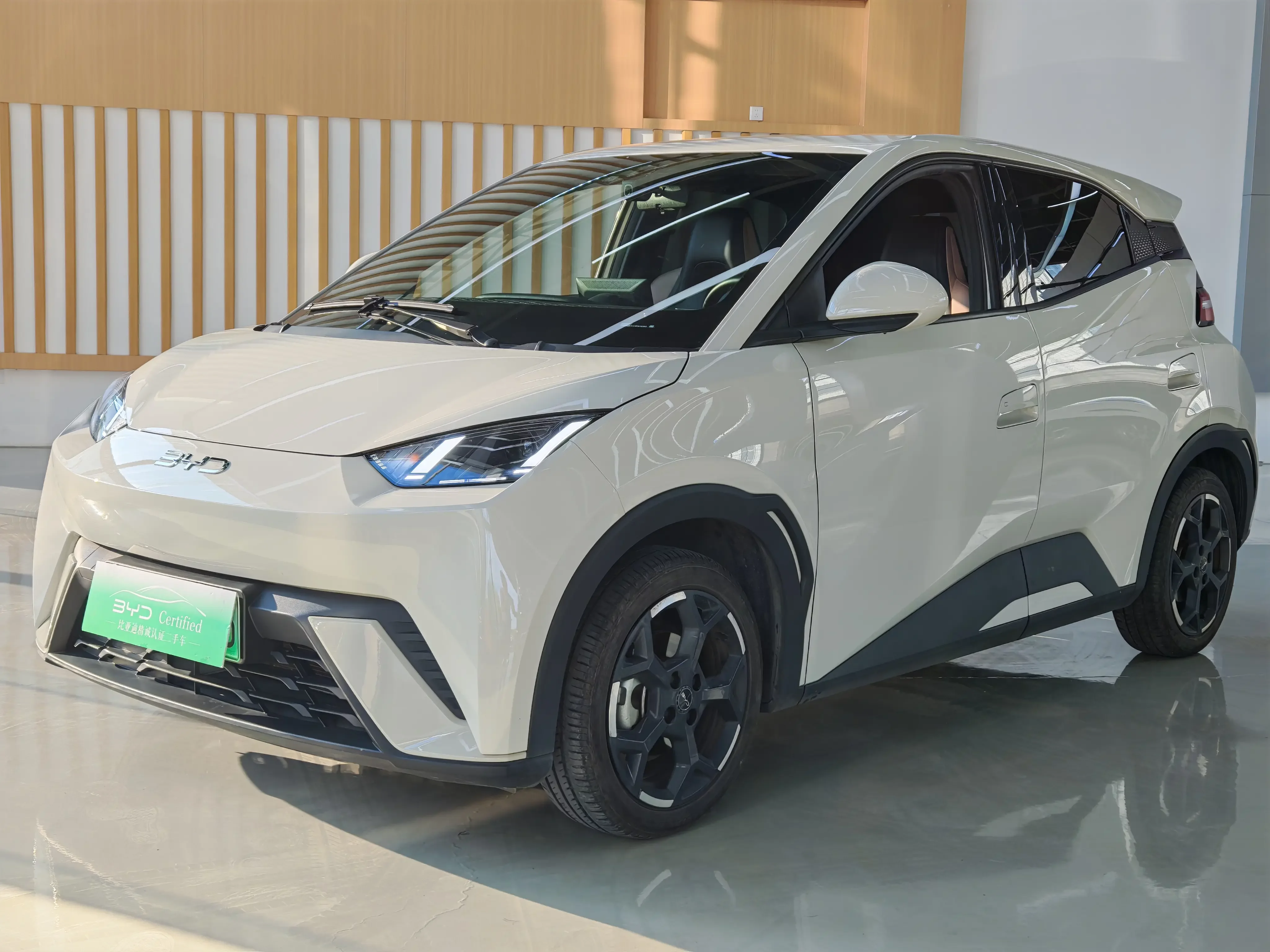 BYD Seagull