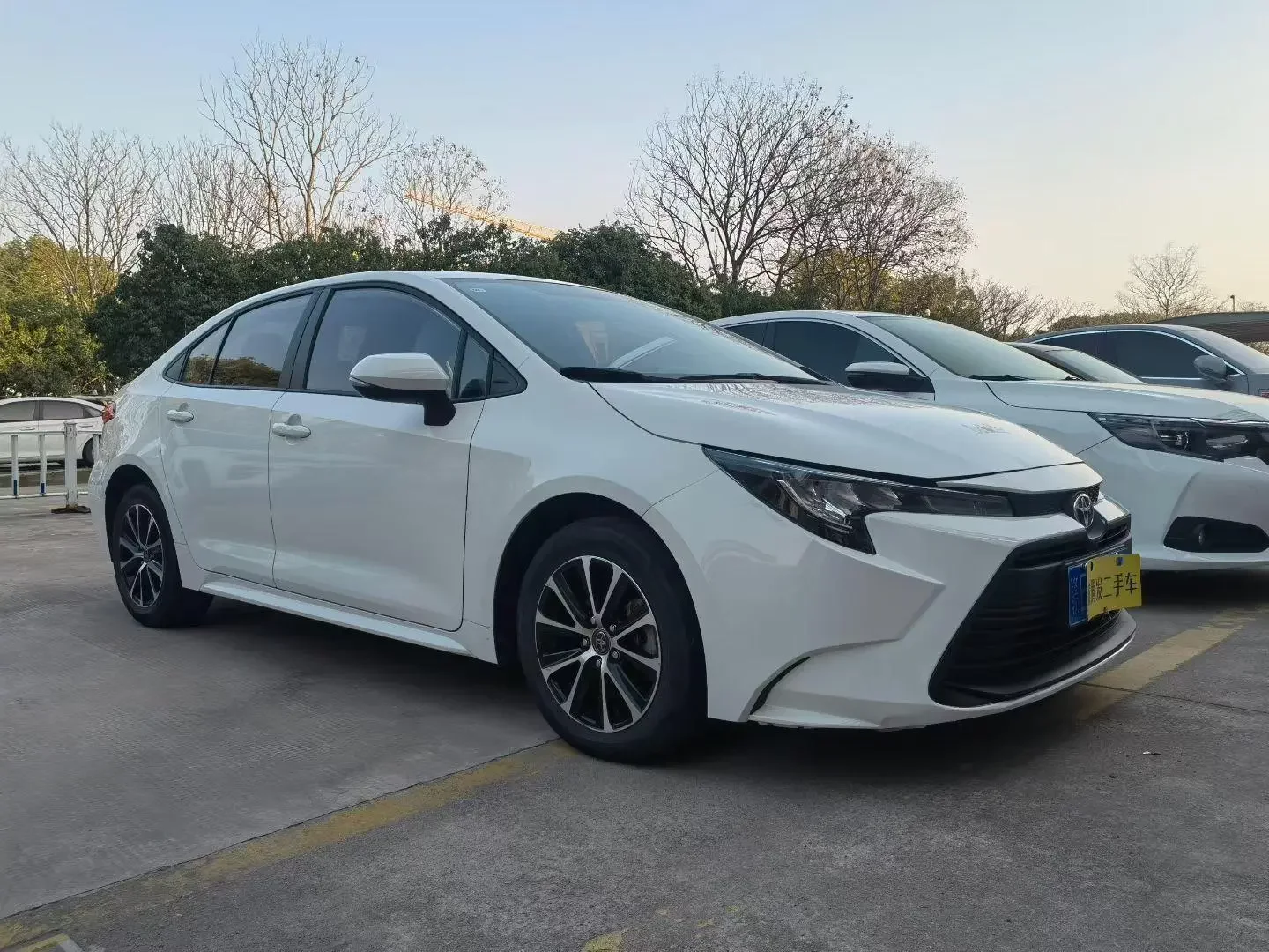 Toyota Levin