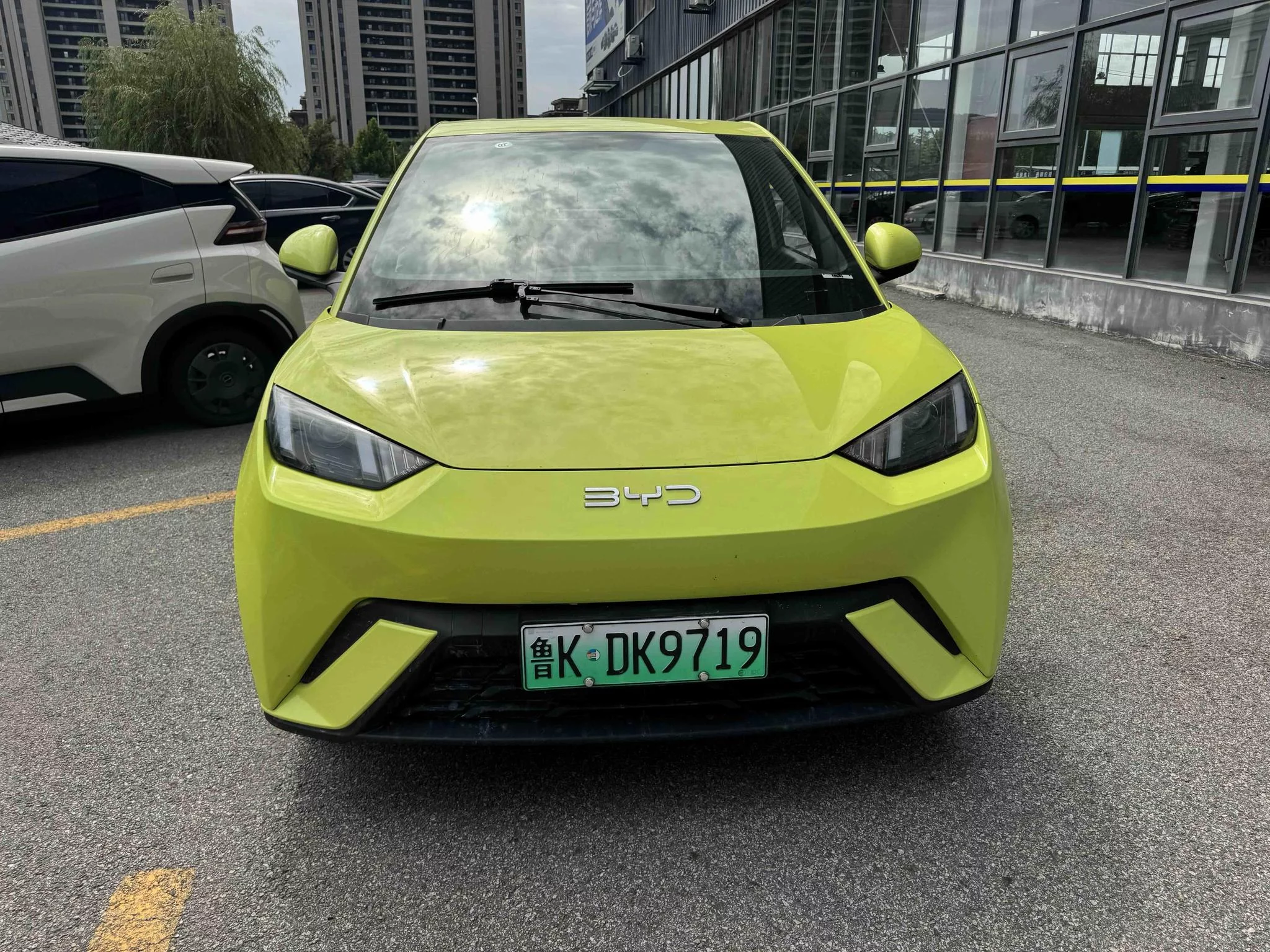 BYD Seagull