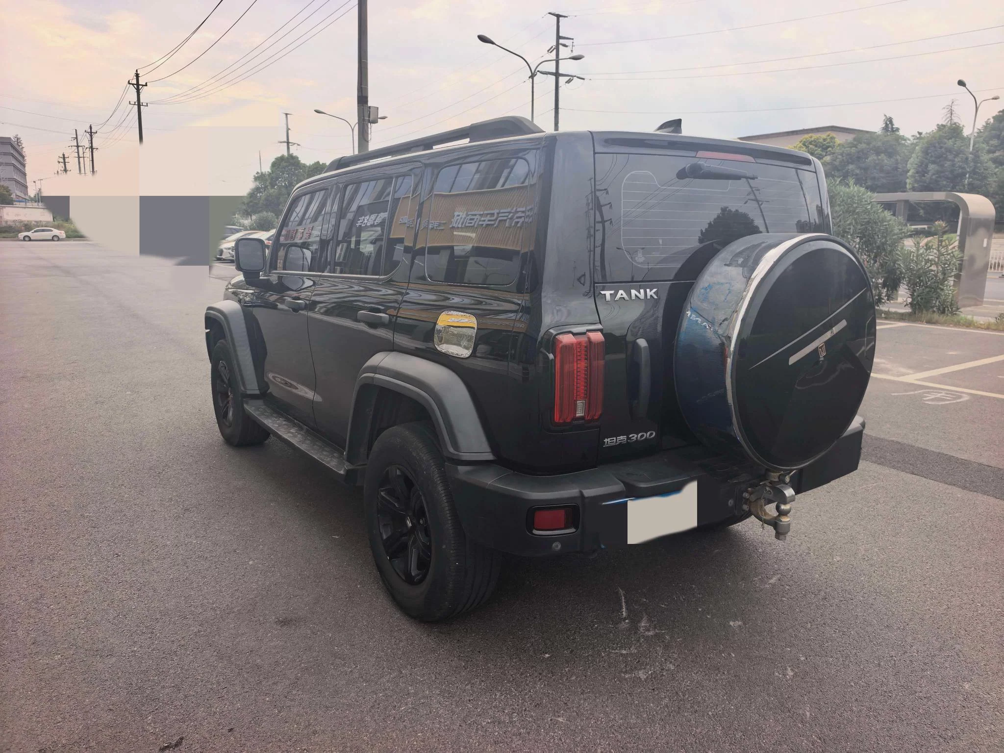 TANK 300