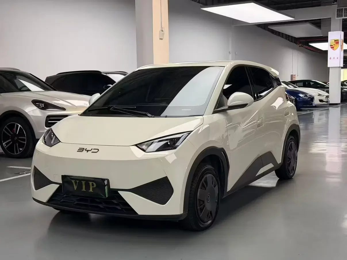 BYD Seagull