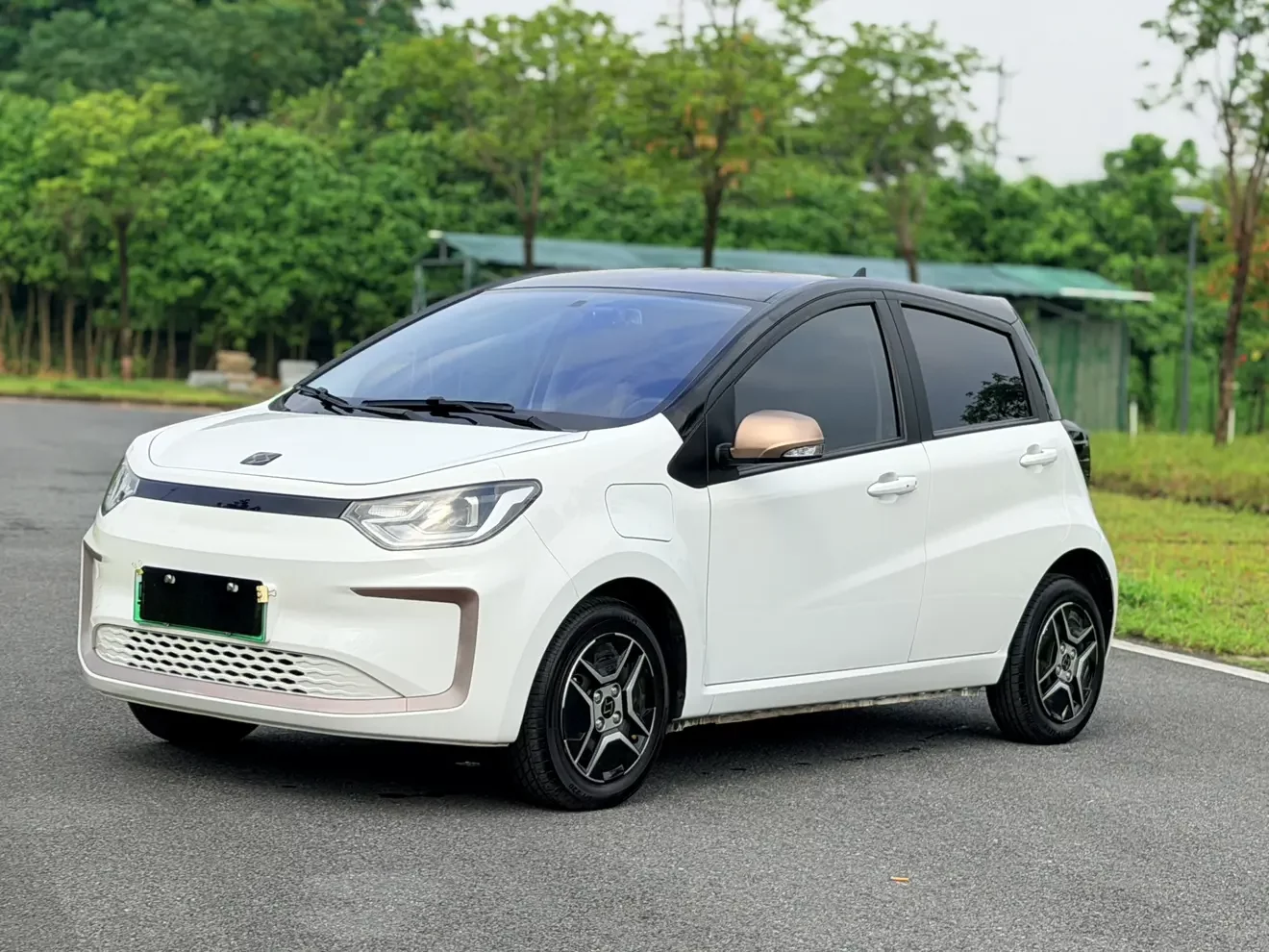JAC (Sihao) Sihao Flower Fairy