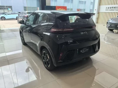 BYD Seagull