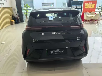 BYD Seagull