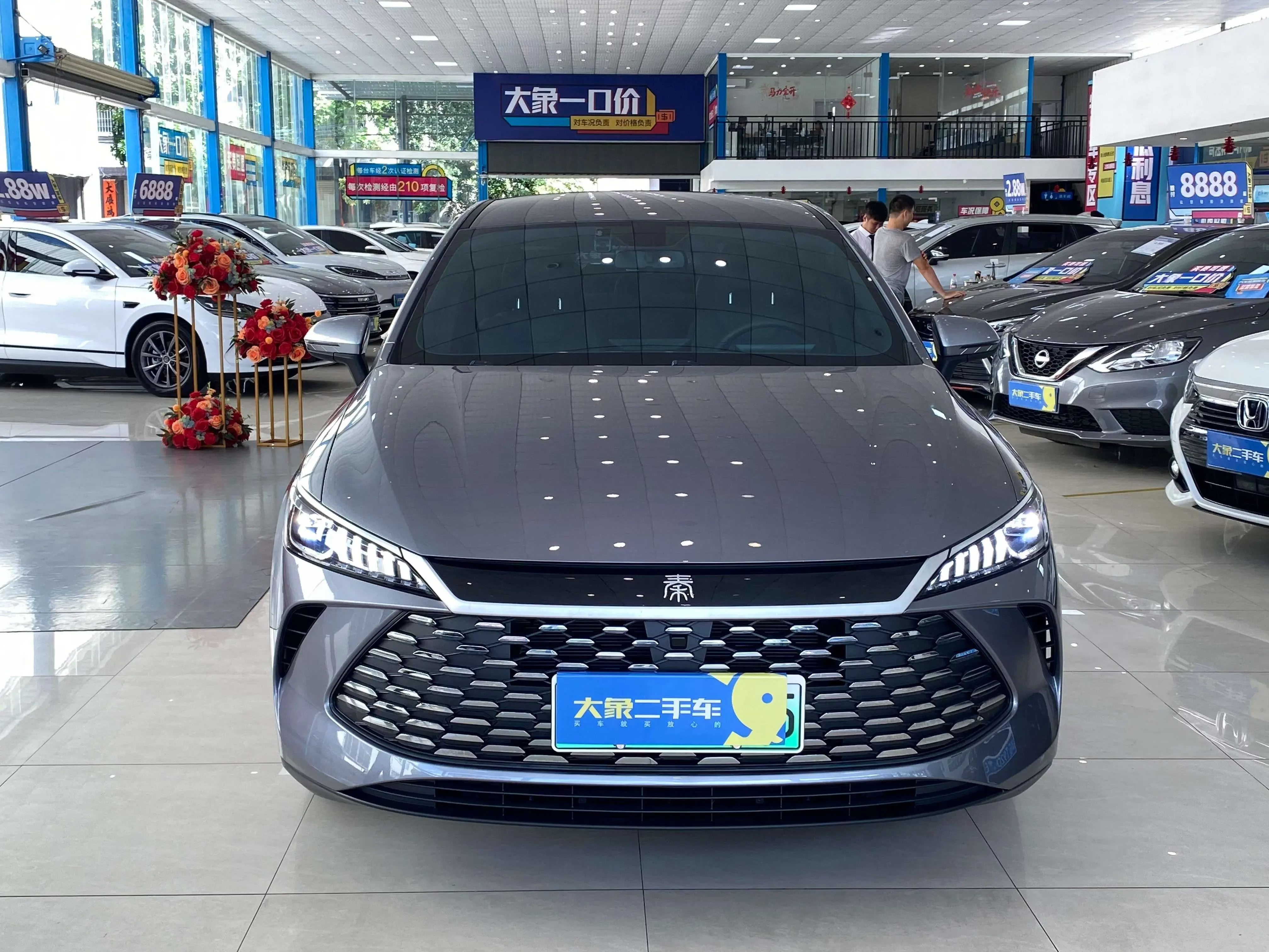BYD Qin PLUS DM