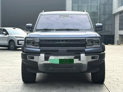 BYD Leopard Leopard 5
