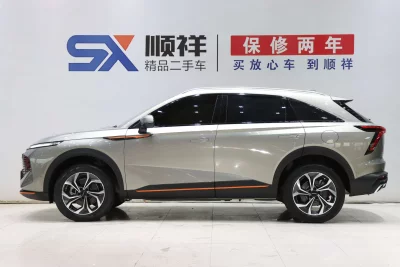 Haval Beast