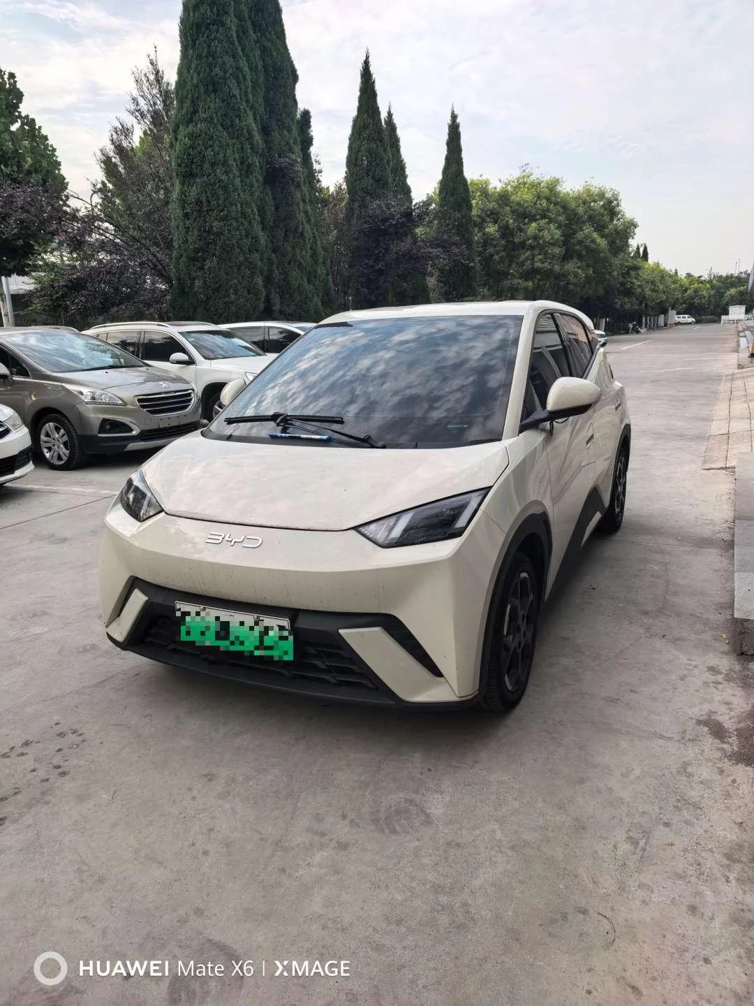 BYD Seagull
