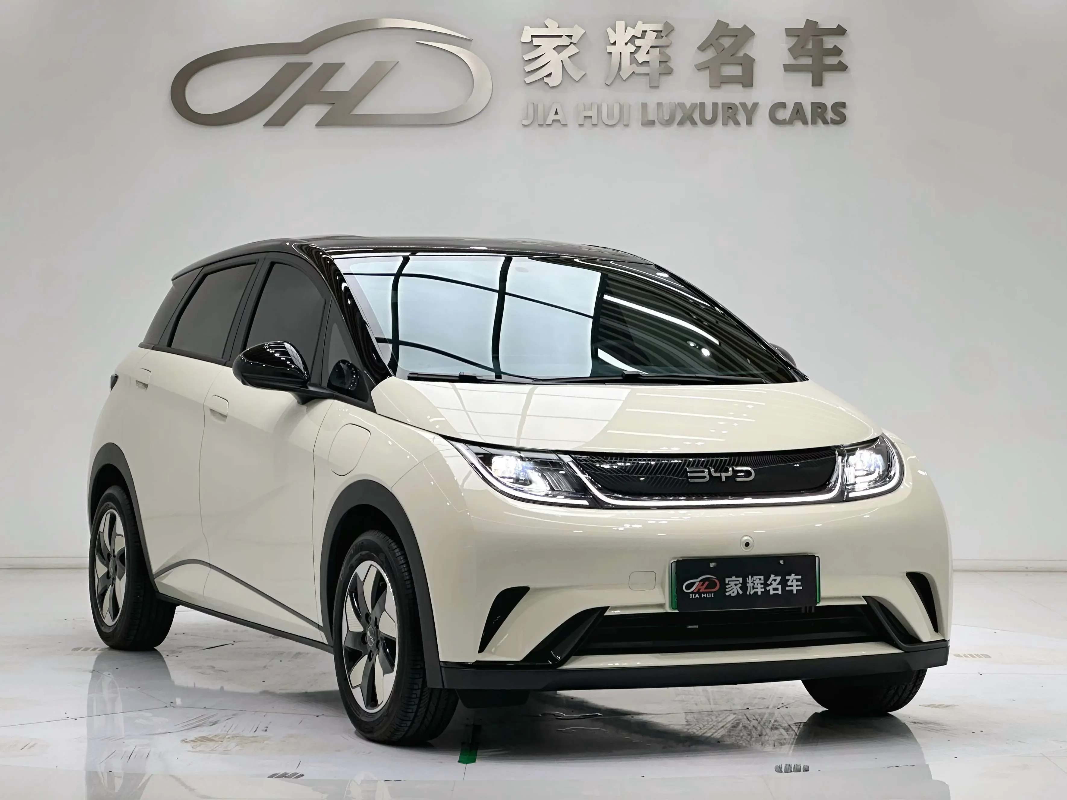 BYD Dolphin