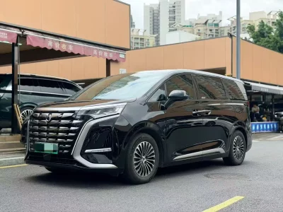Denza D9 DM, 2023 — купить с доставкой из Китая