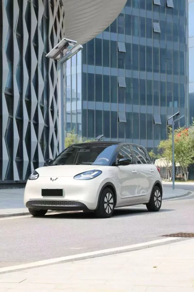 Wuling Bingo