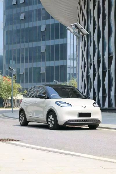 Wuling Bingo
