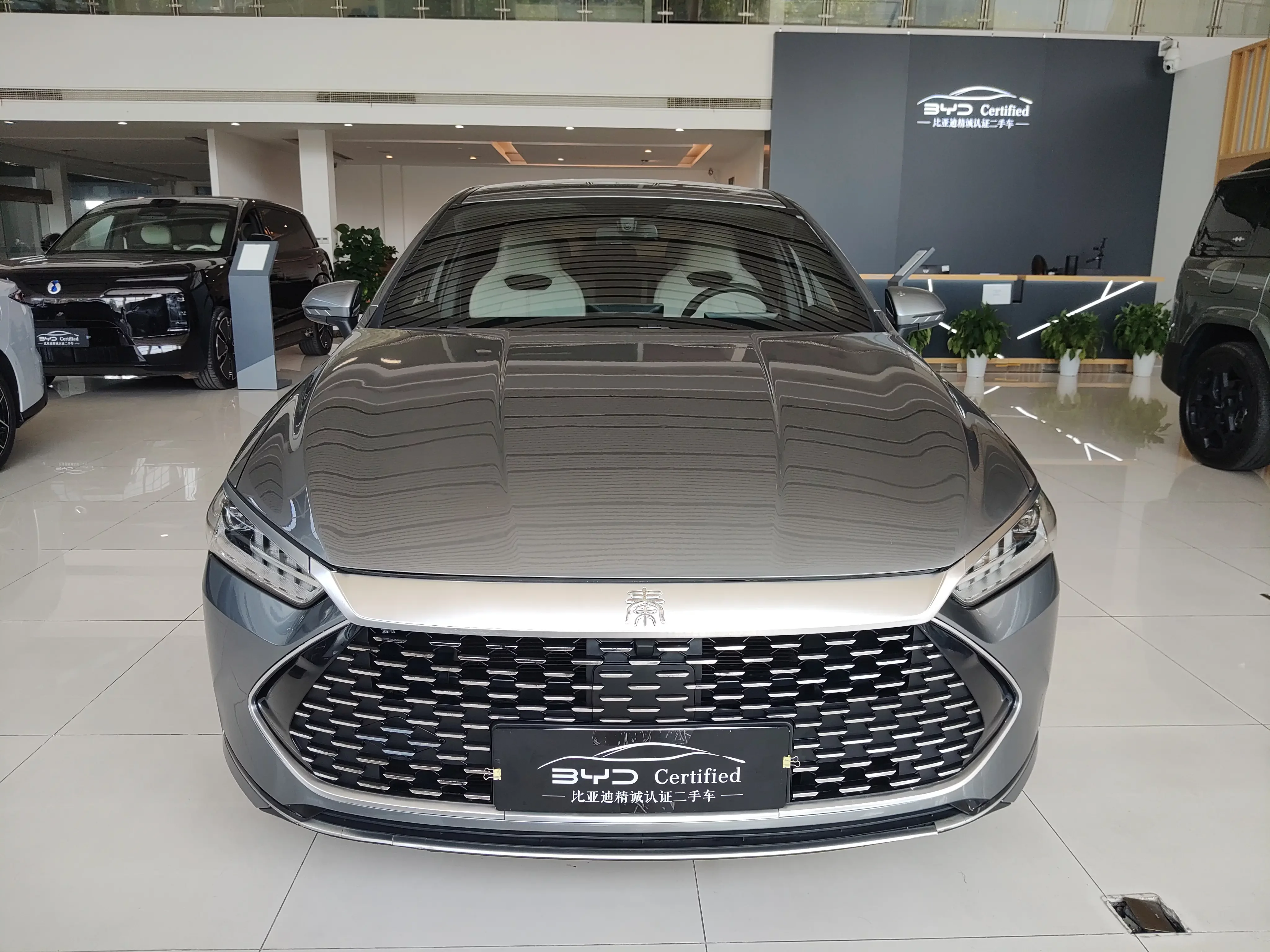 BYD Qin PLUS DM