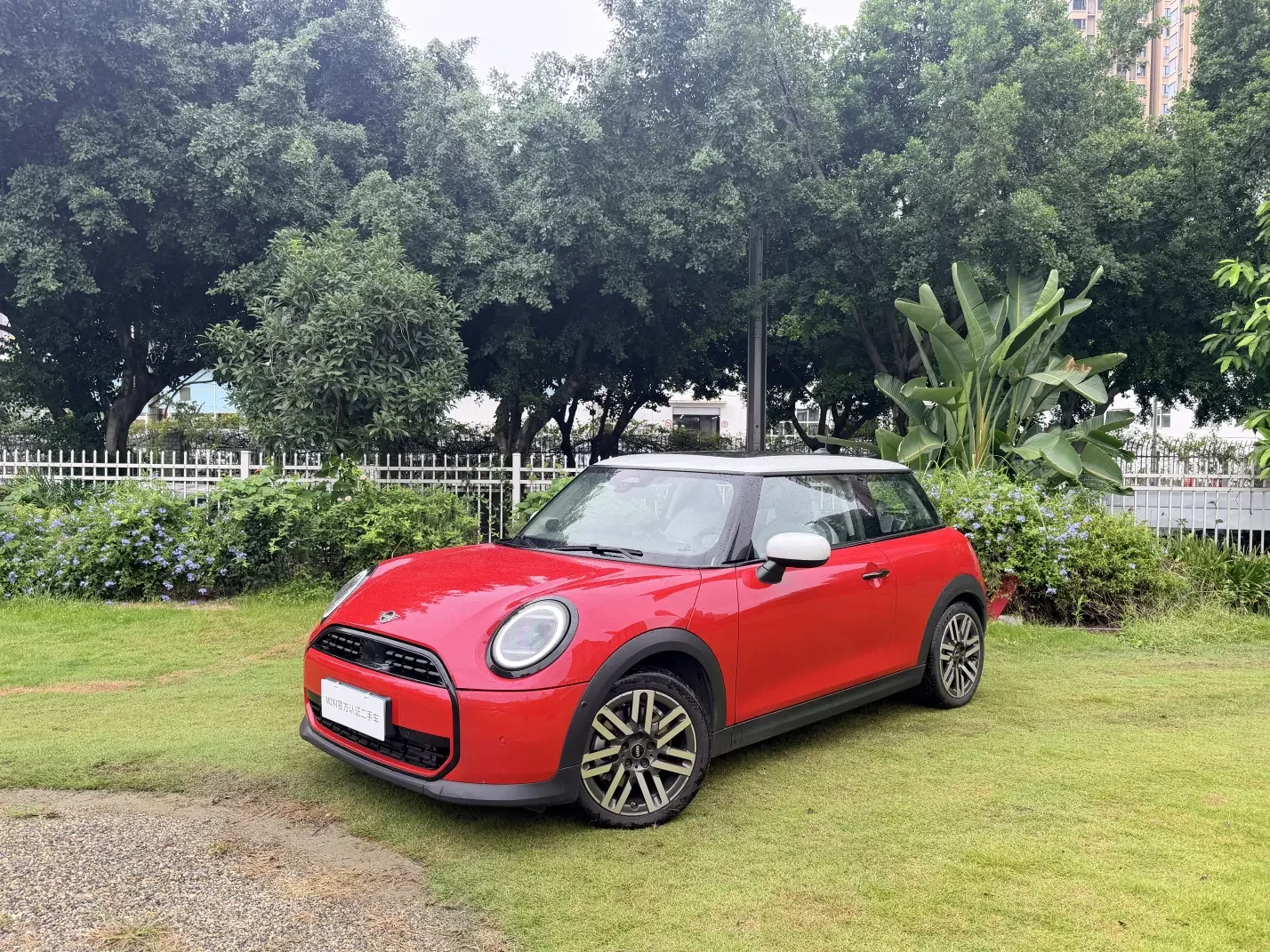 MINI MINI