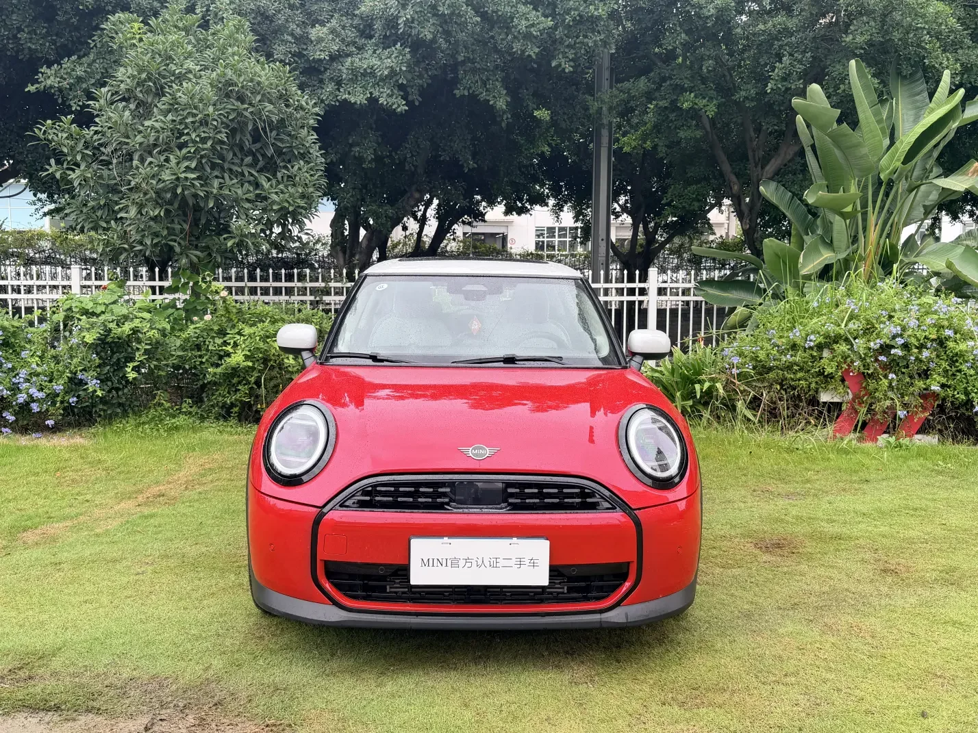 MINI MINI