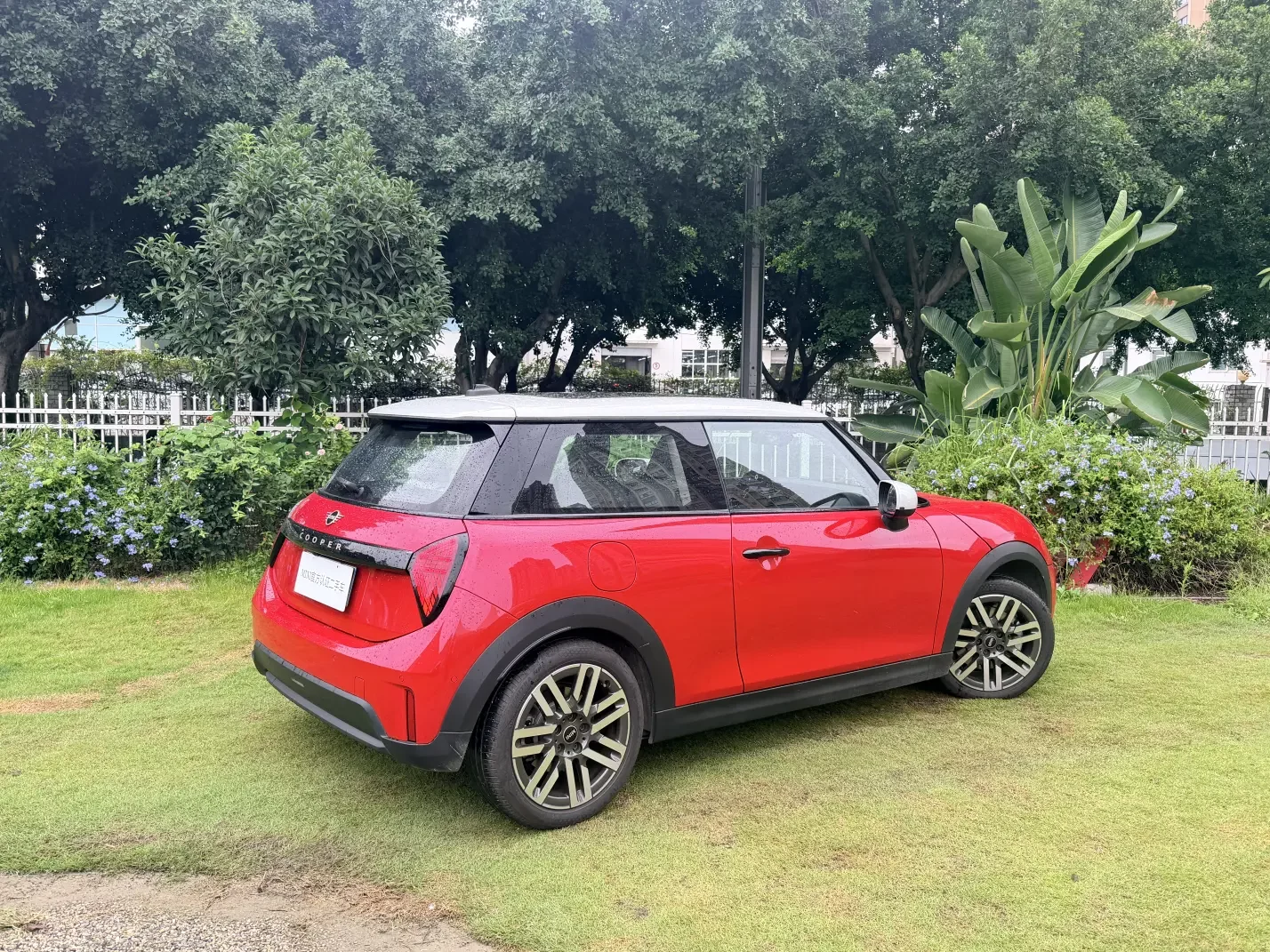 MINI MINI