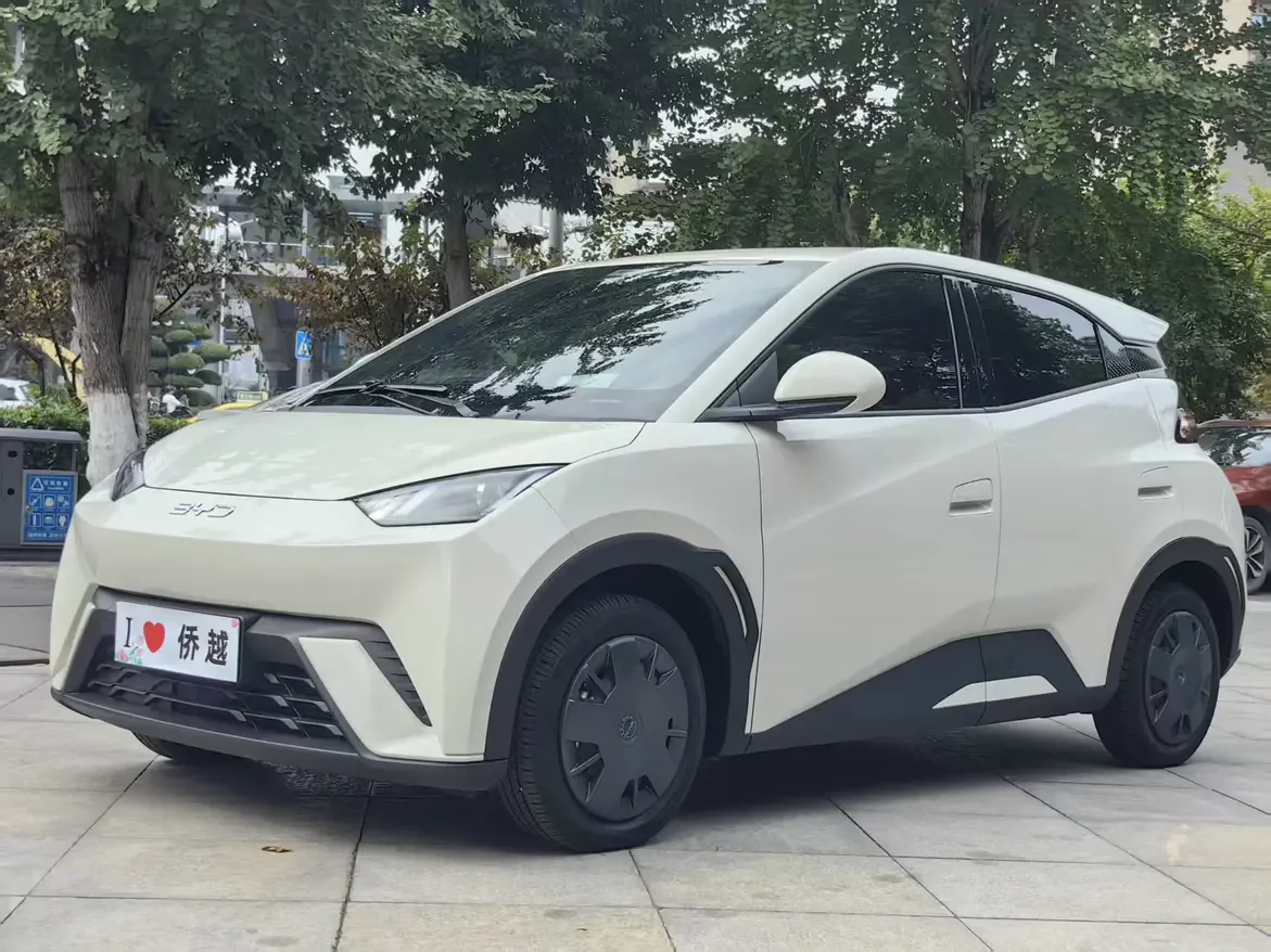 BYD Seagull