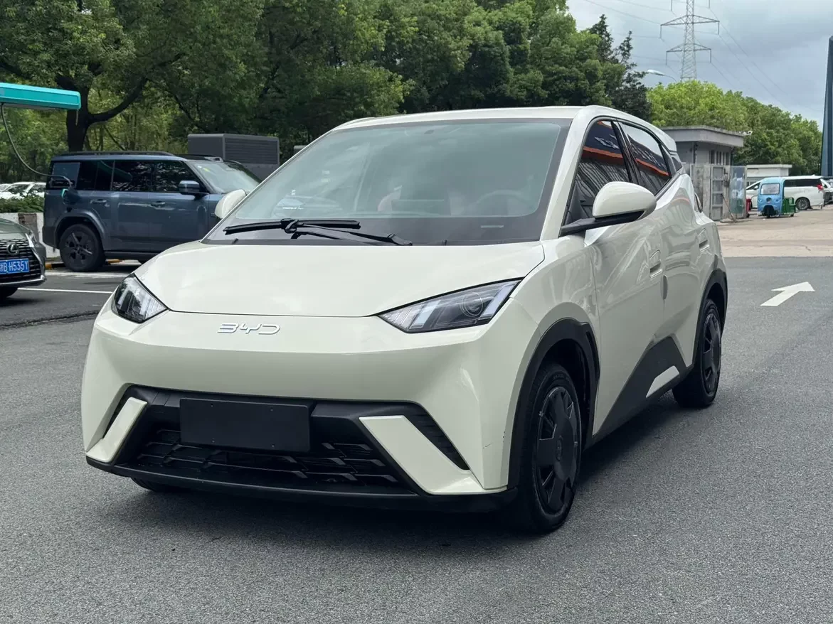 BYD Seagull