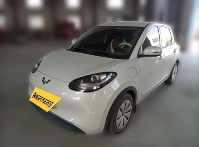 Wuling Bingo