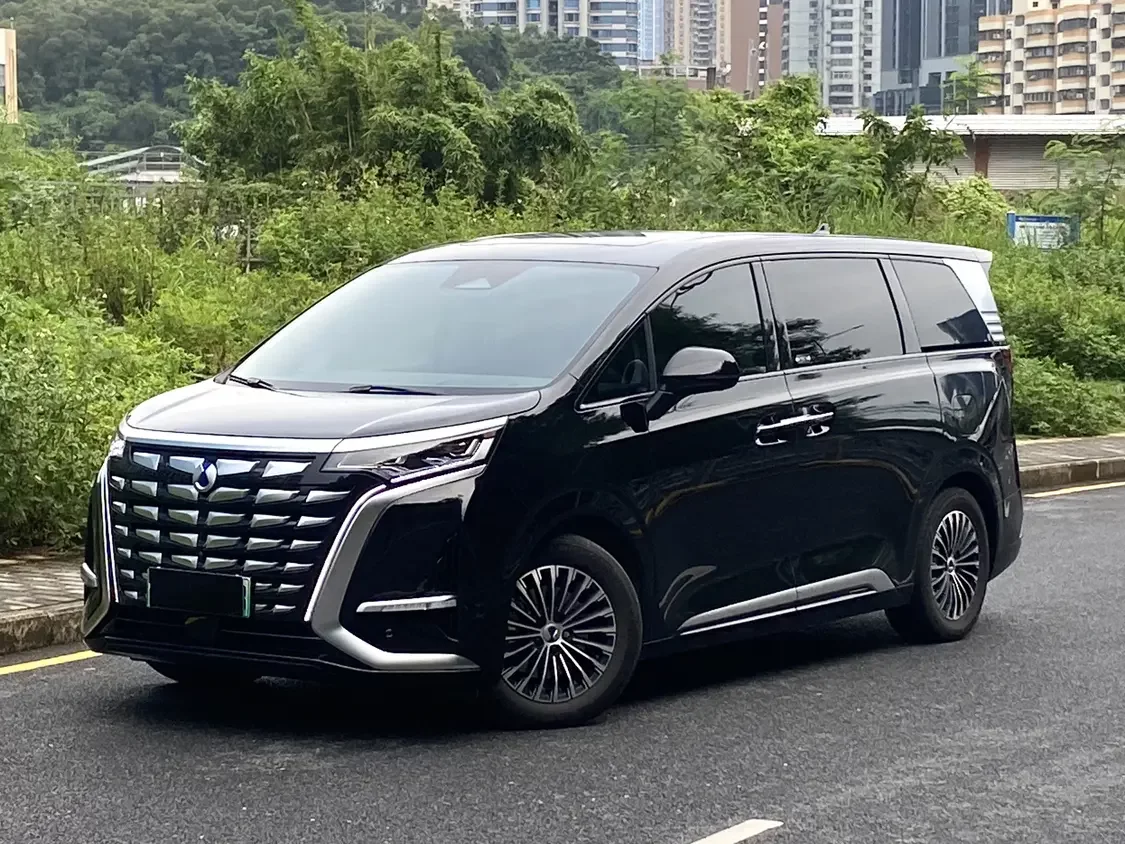 Denza D9 DM