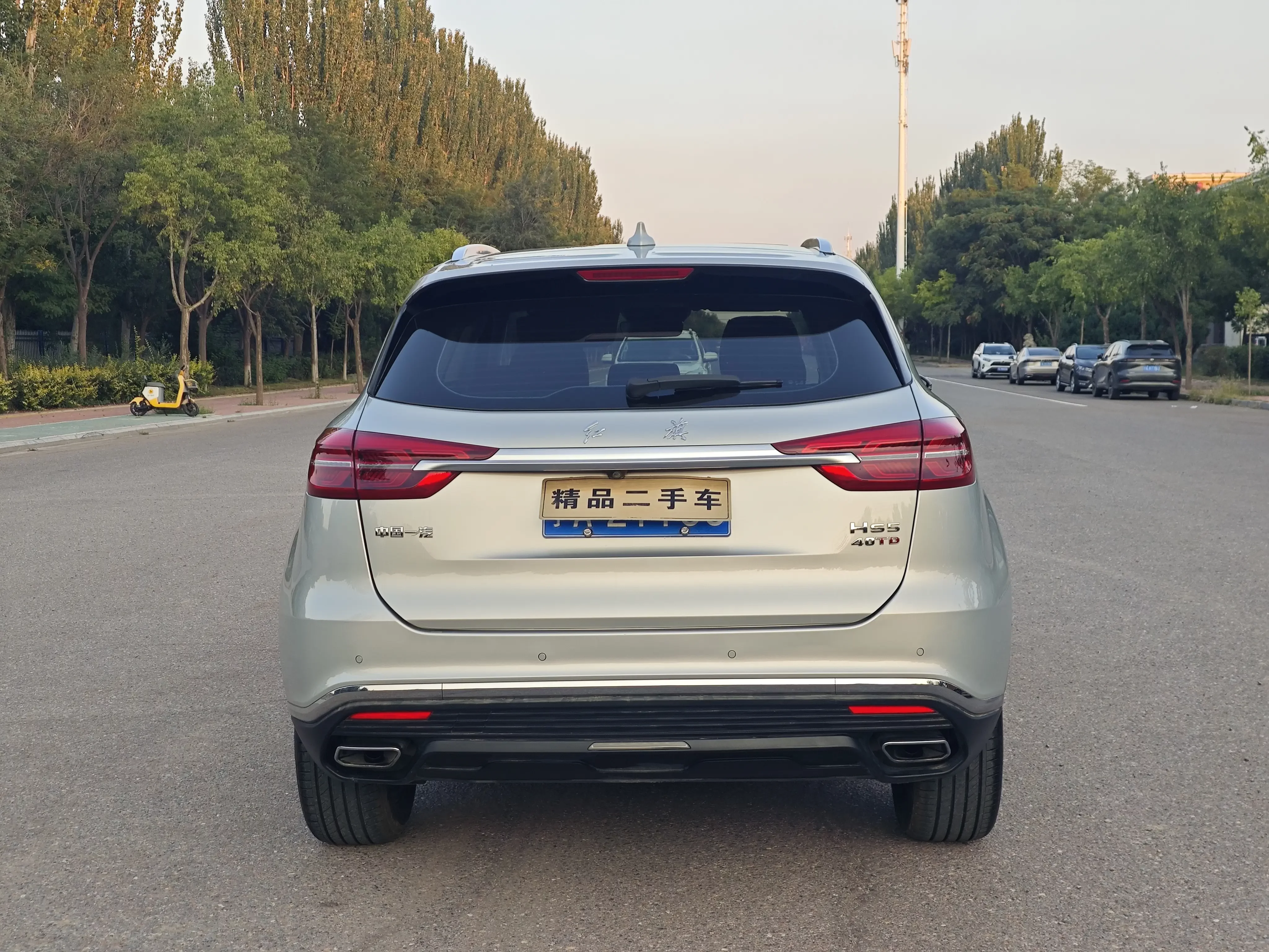 Hongqi HS5