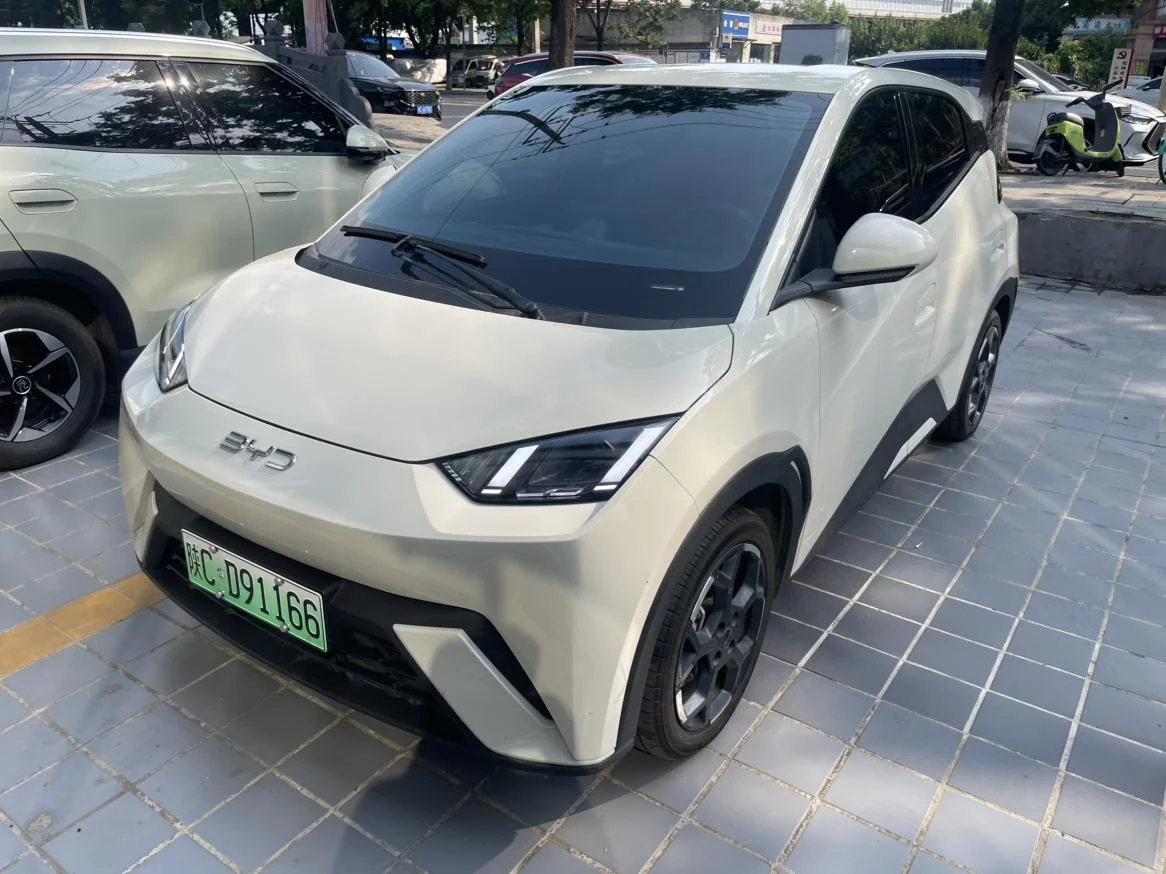 BYD Seagull