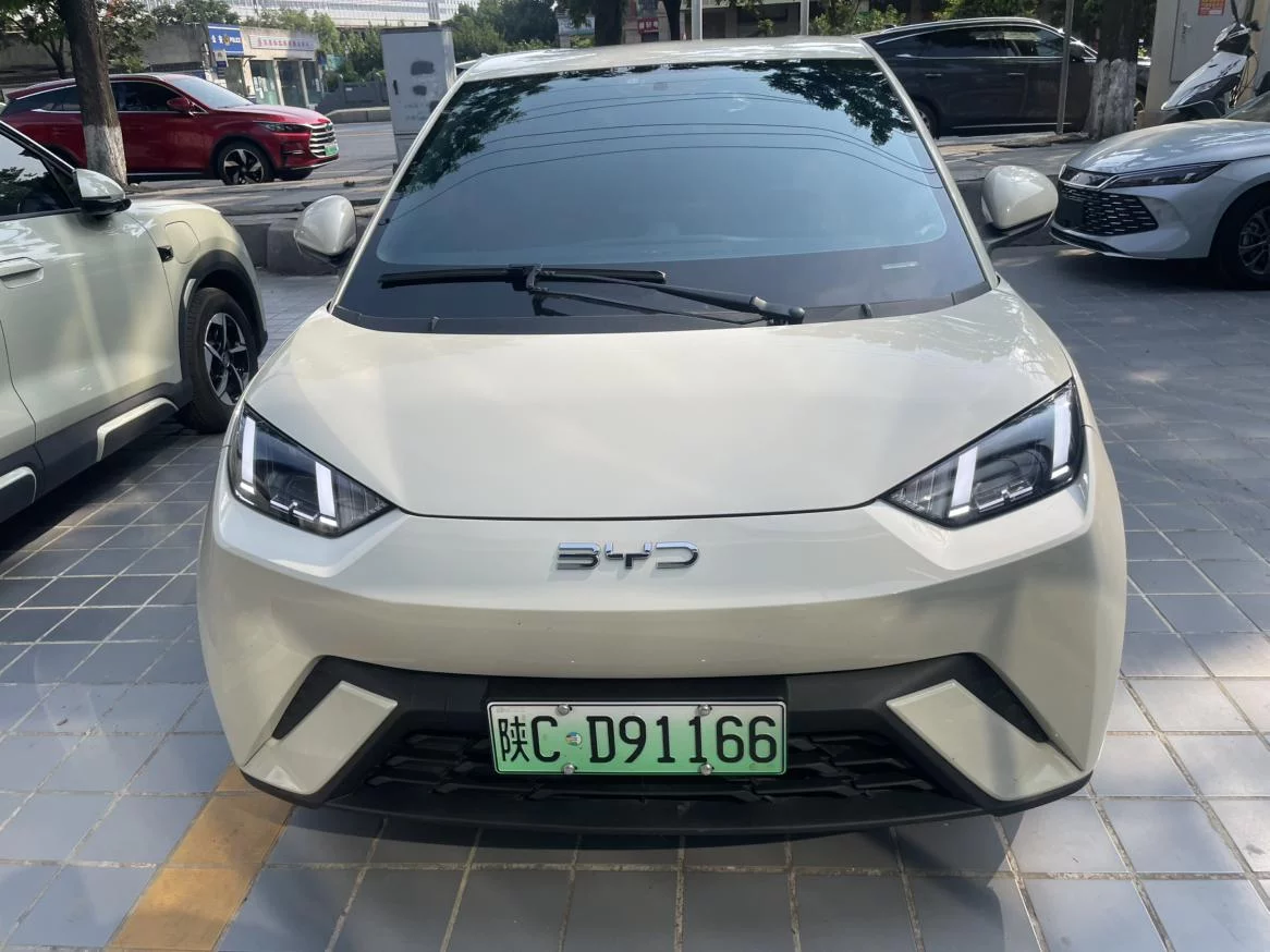 BYD Seagull