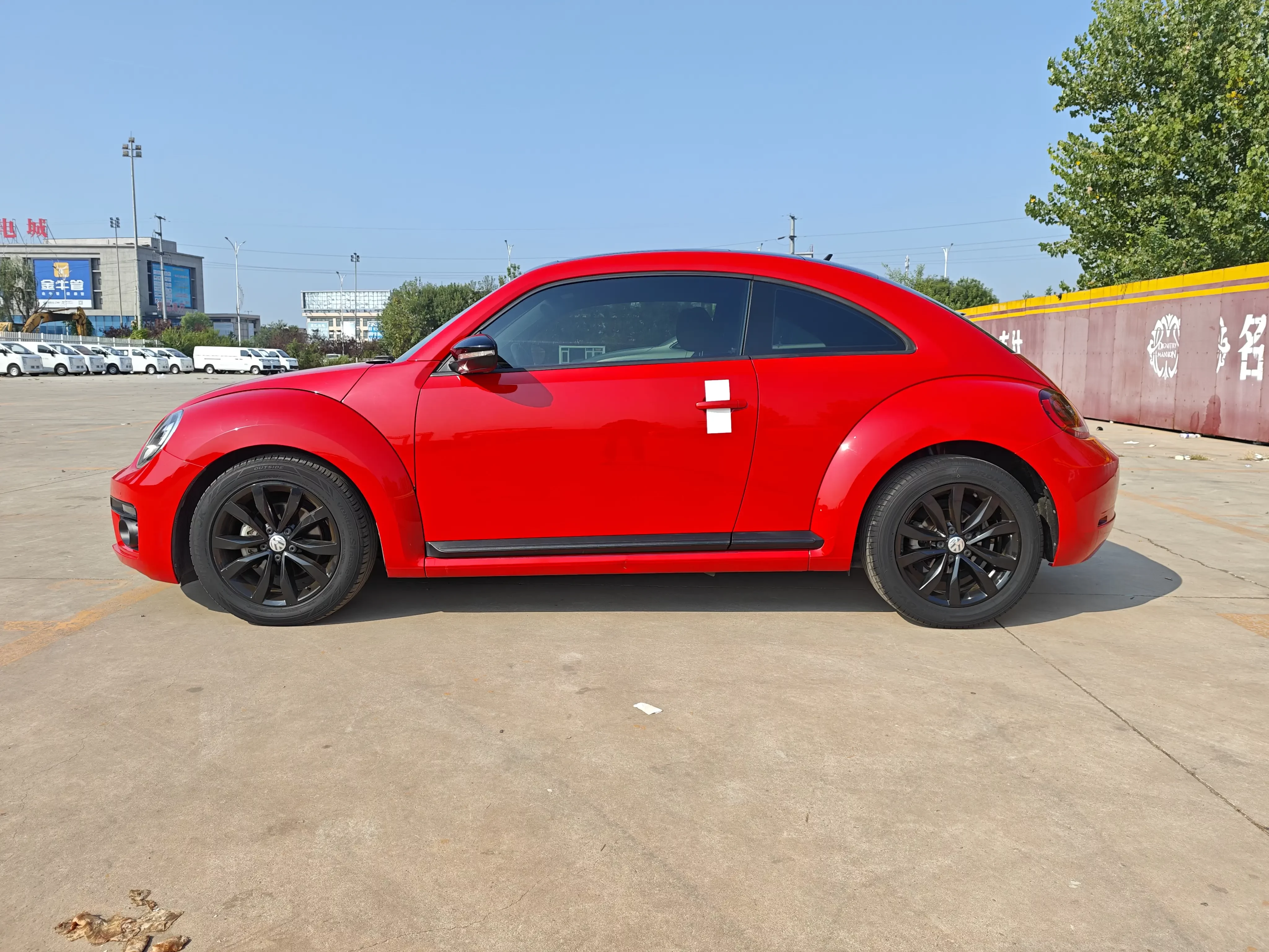 Volkswagen Beetle