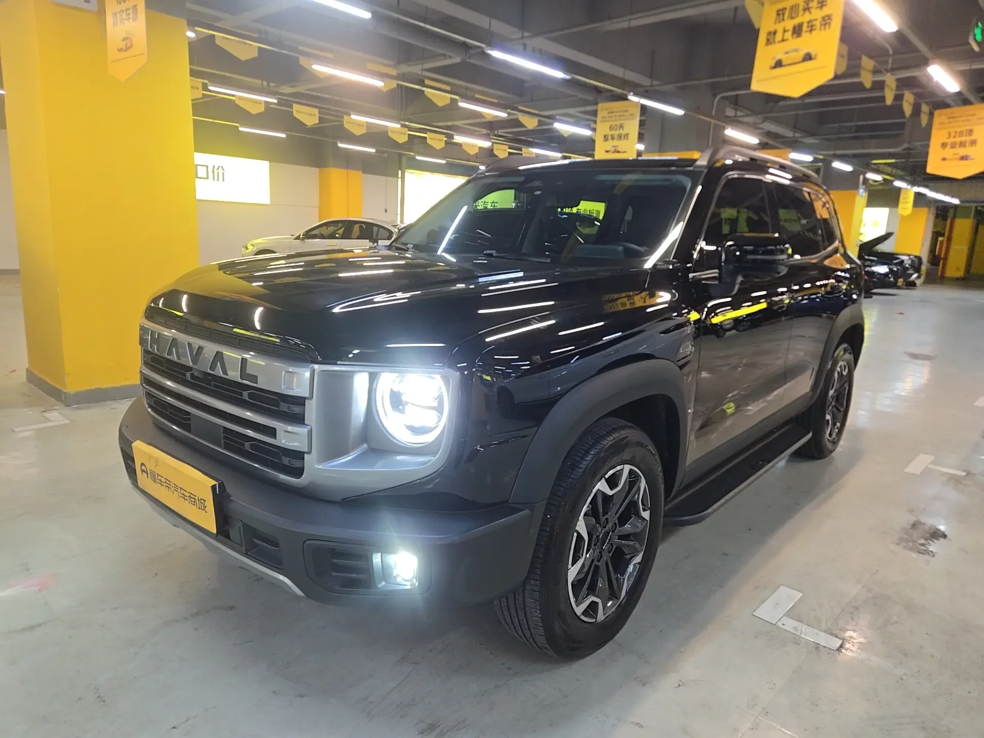 Haval Dargo
