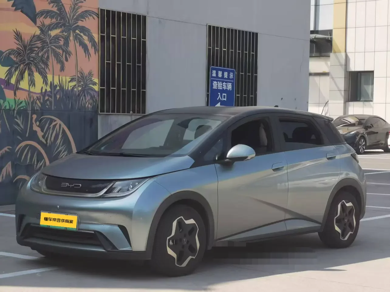 BYD Dolphin