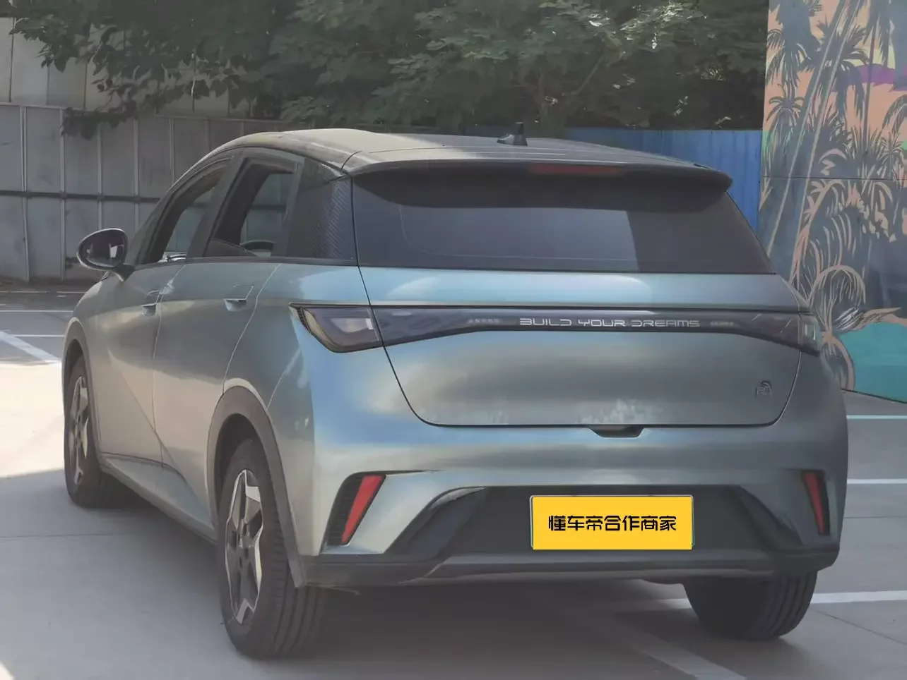 BYD Dolphin
