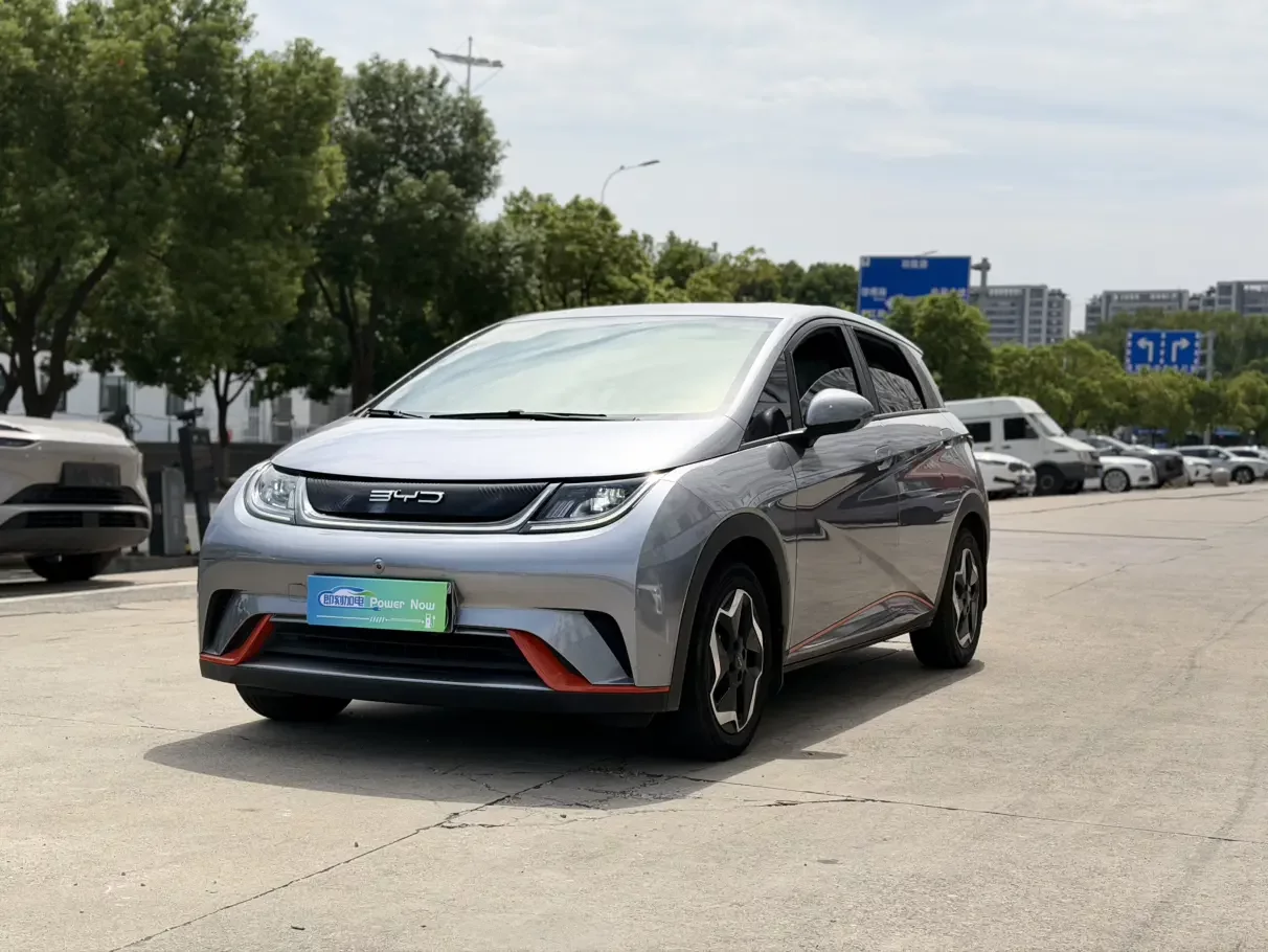 BYD Dolphin