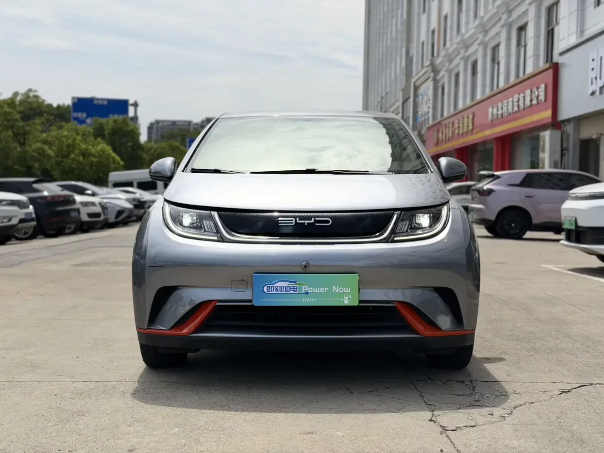 BYD Dolphin
