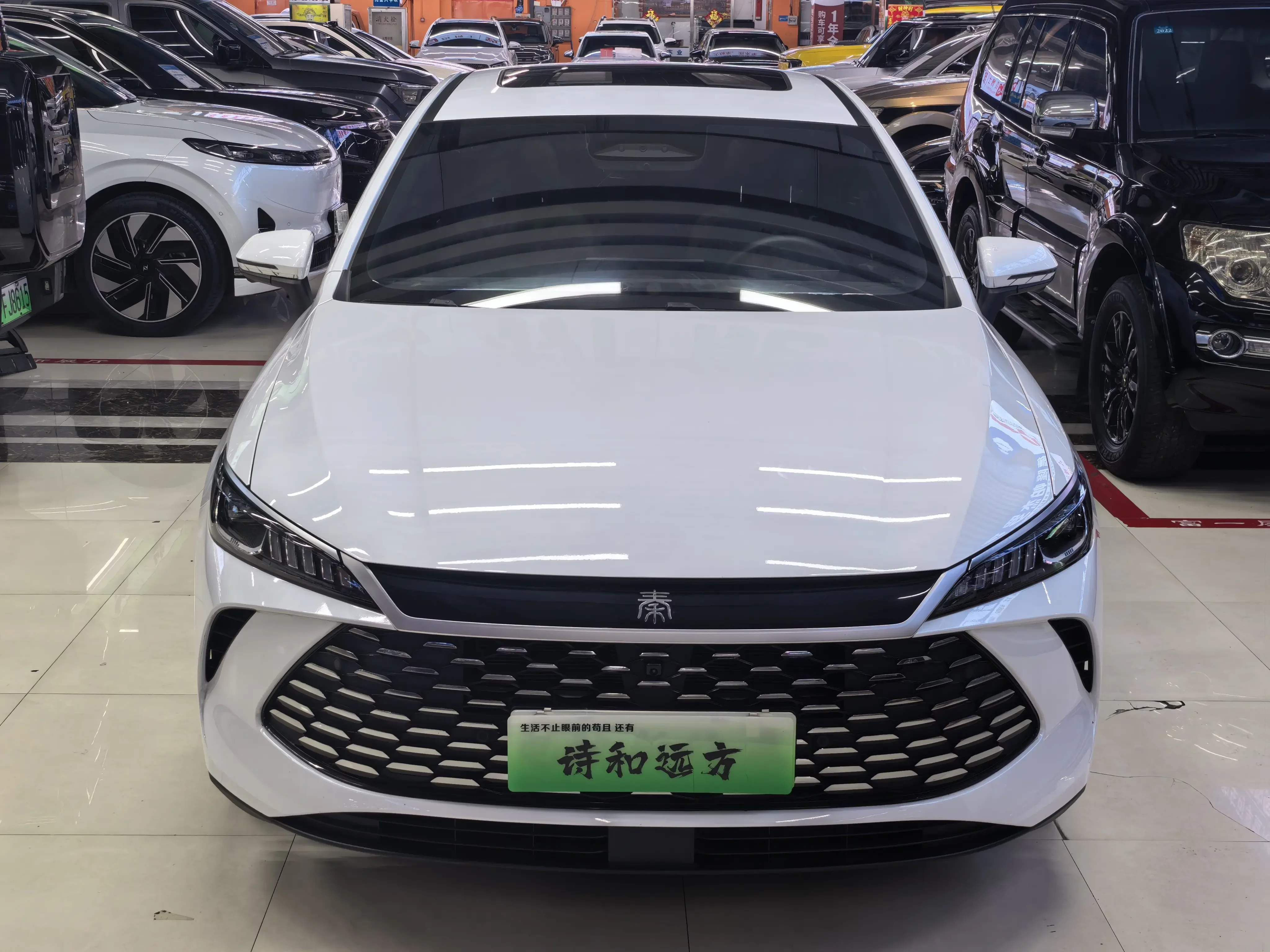BYD Qin PLUS DM