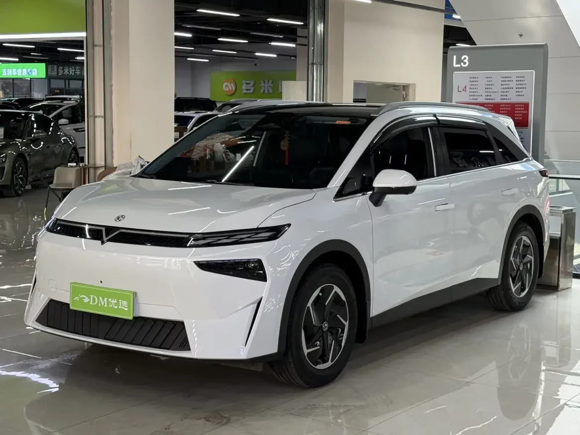 Venucia VX6